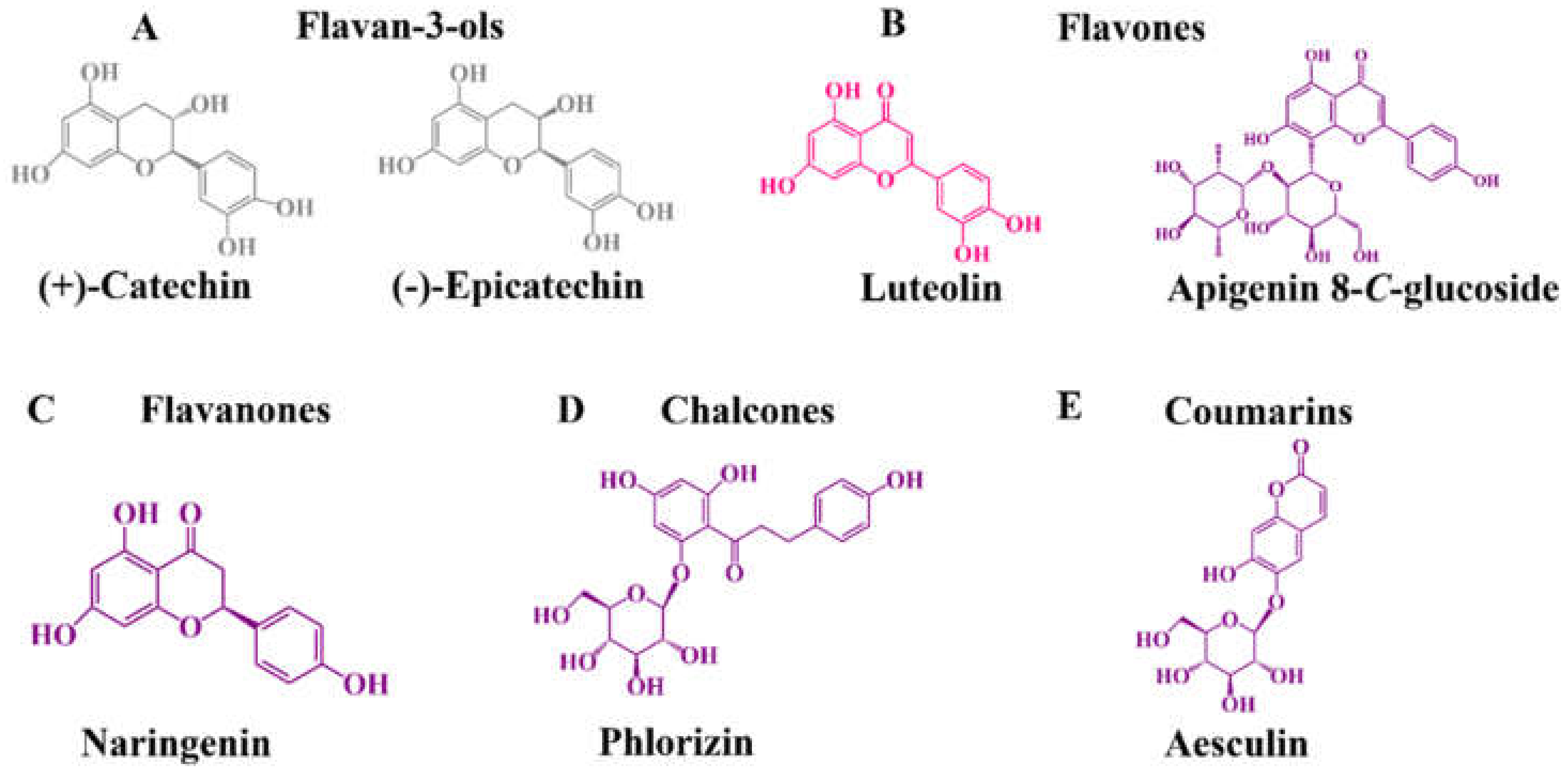 Molecules 27 03294 g004