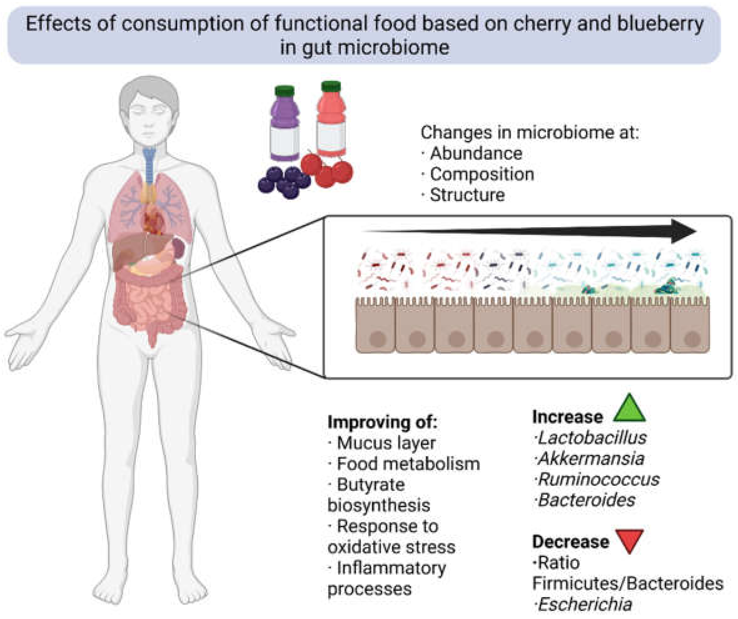 Molecules 27 03294 g006