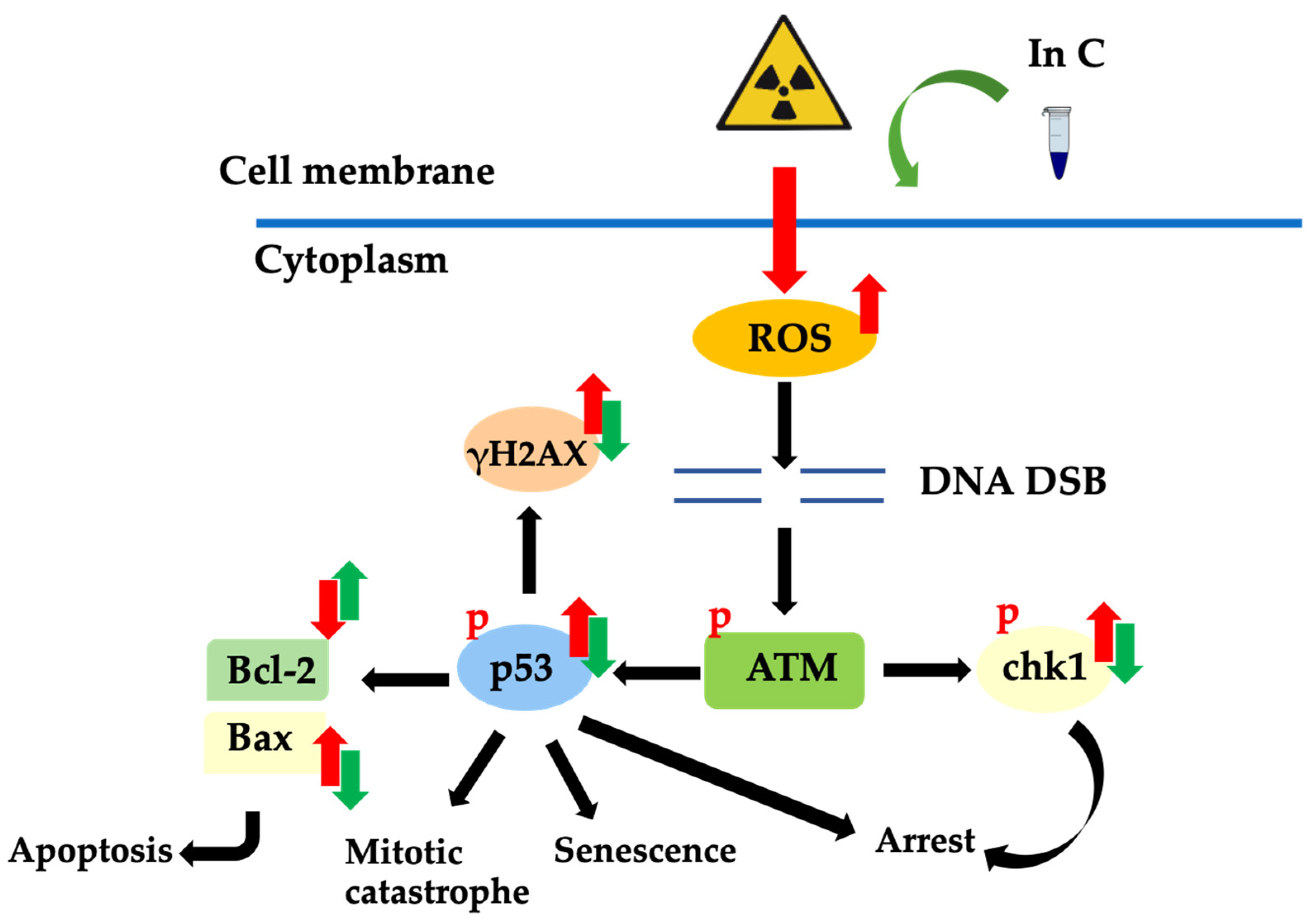 Molecules 27 03298 g008