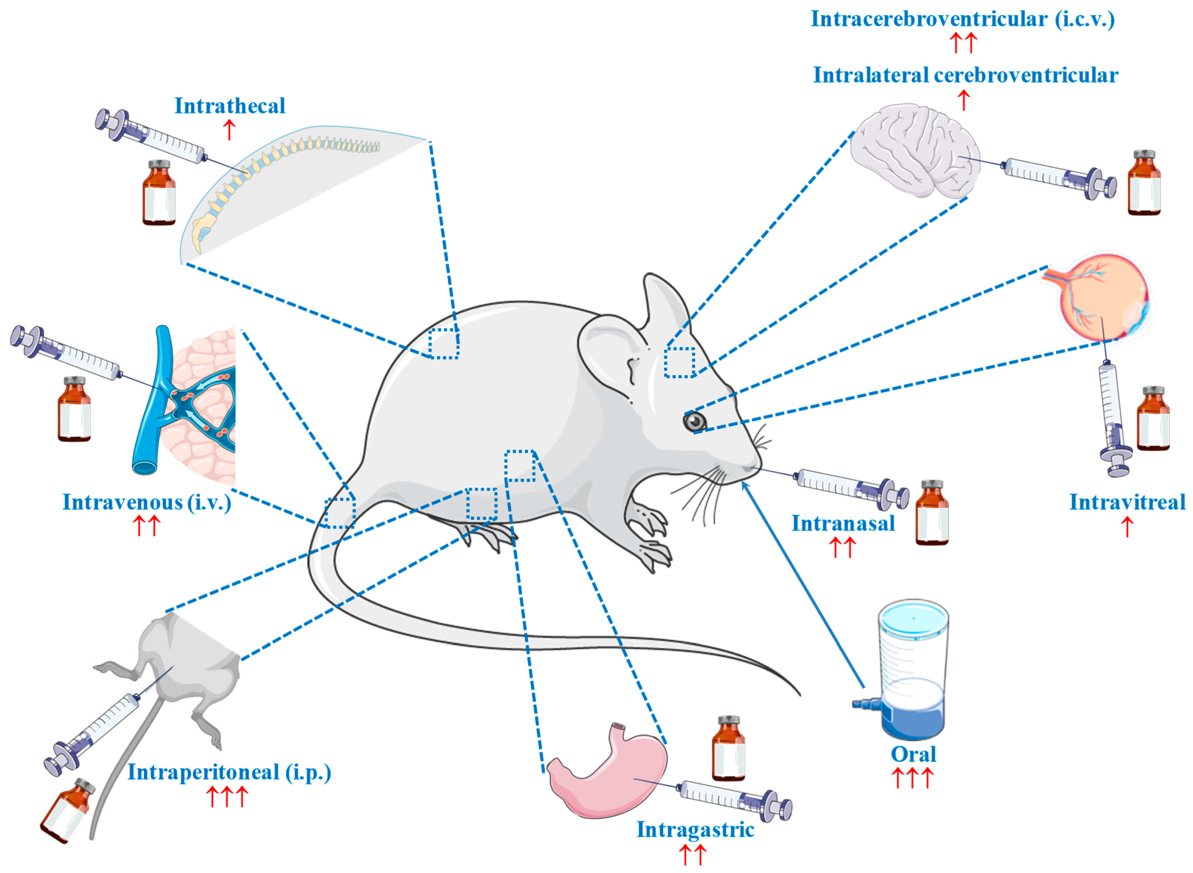 Molecules 27 03303 g001 Molecules 27 03303 g001