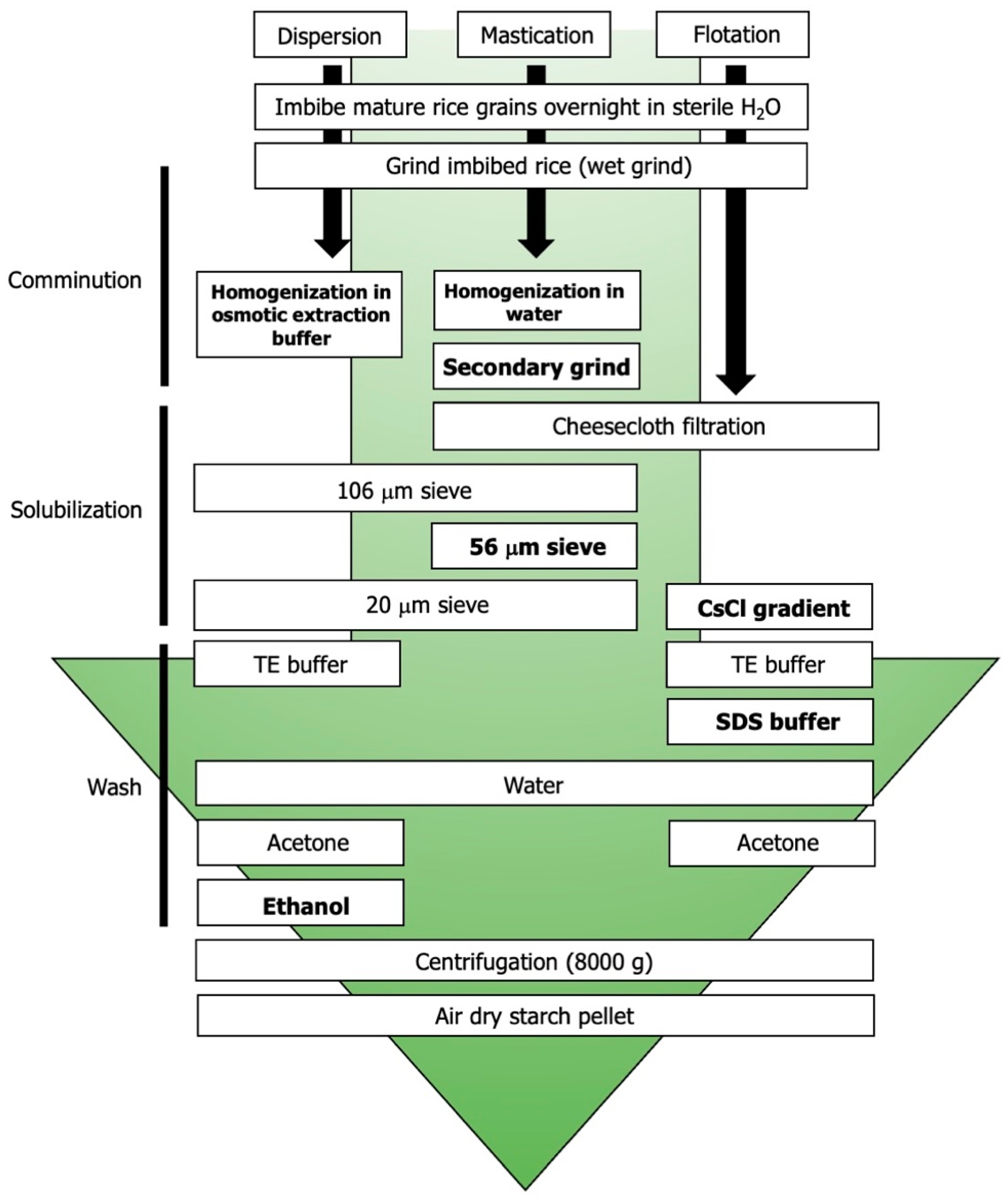 Molecules 27 03307 g001
