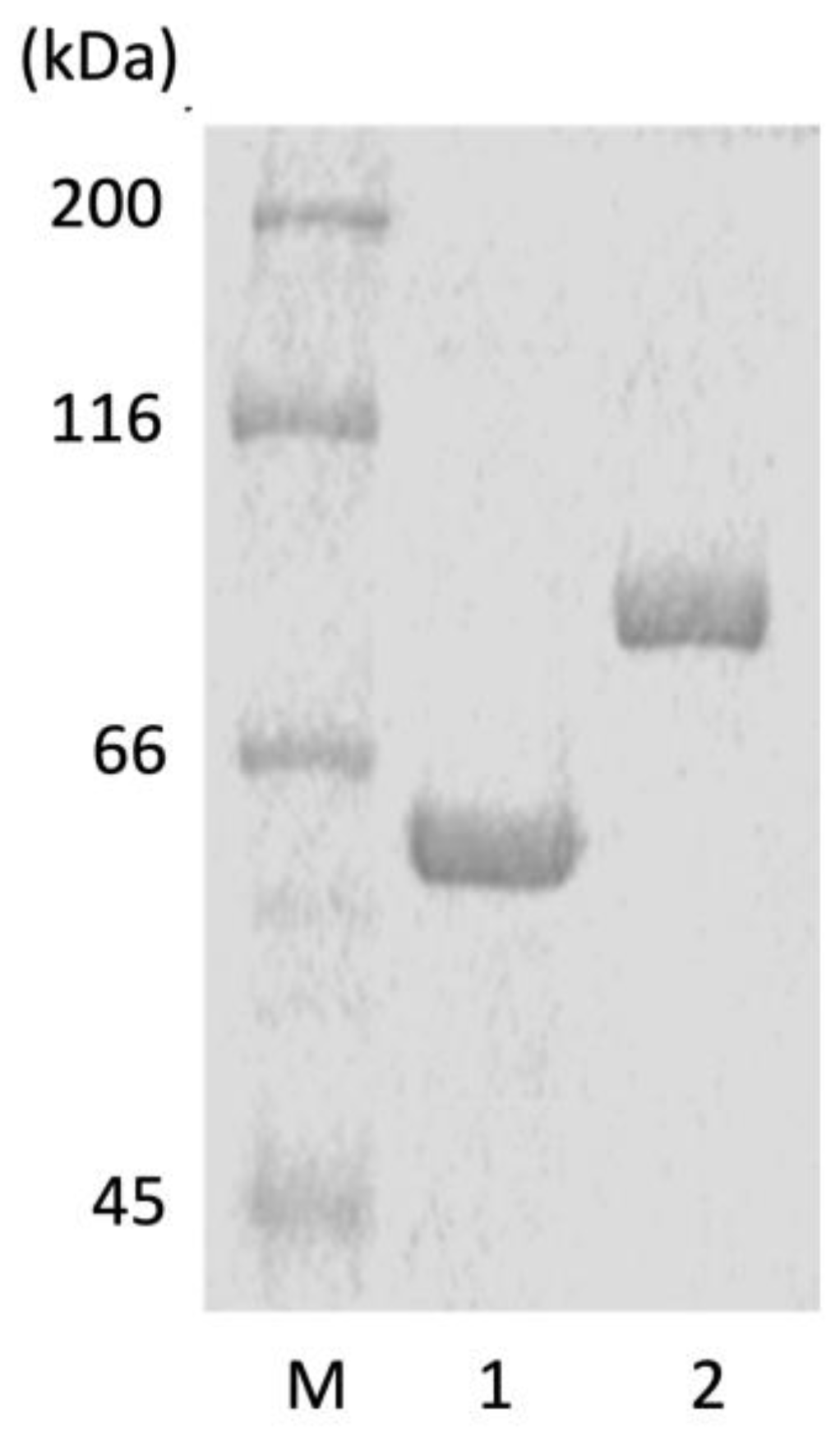 Molecules 27 03308 g001