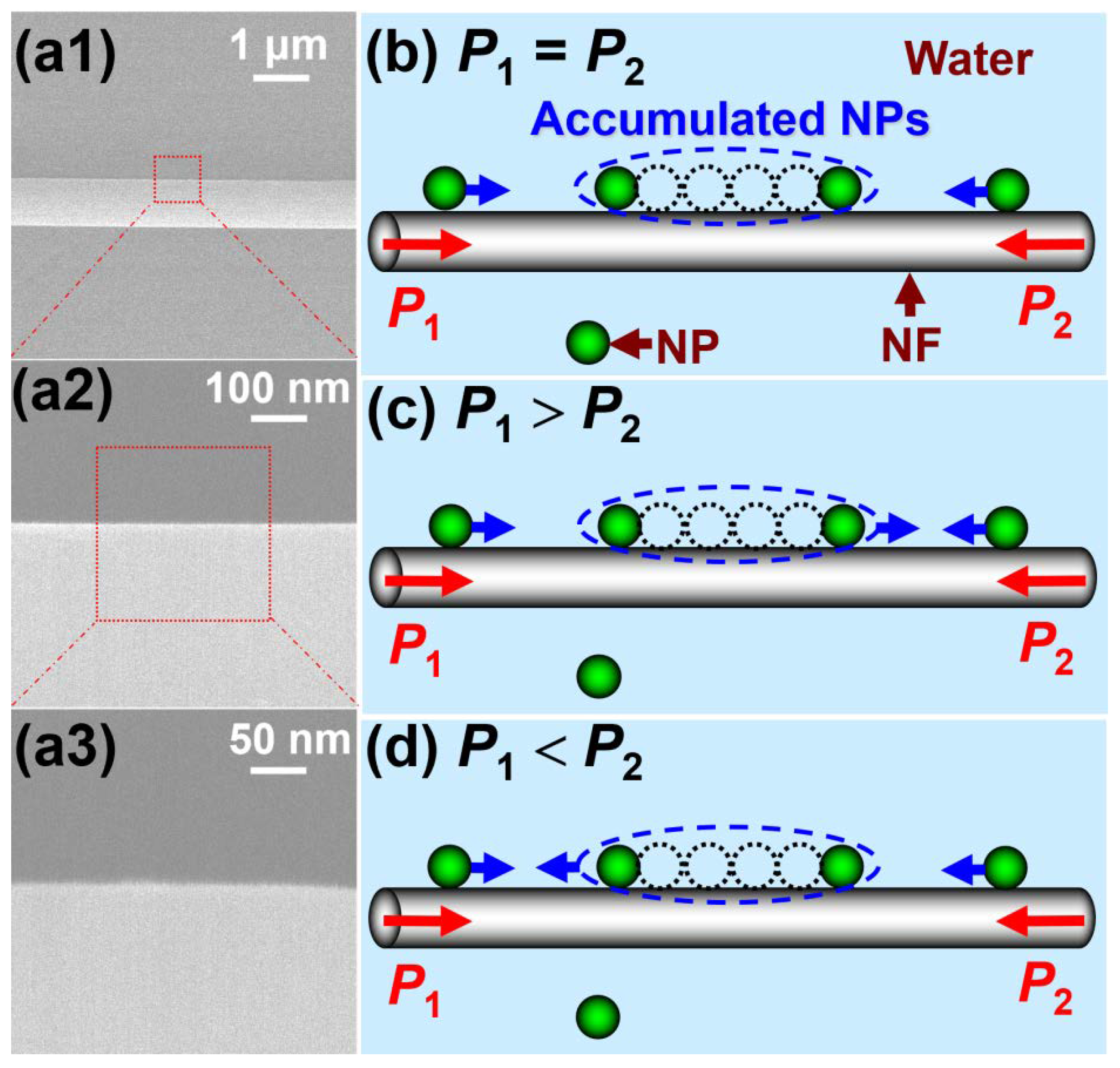 Molecules 27 03312 g001 550