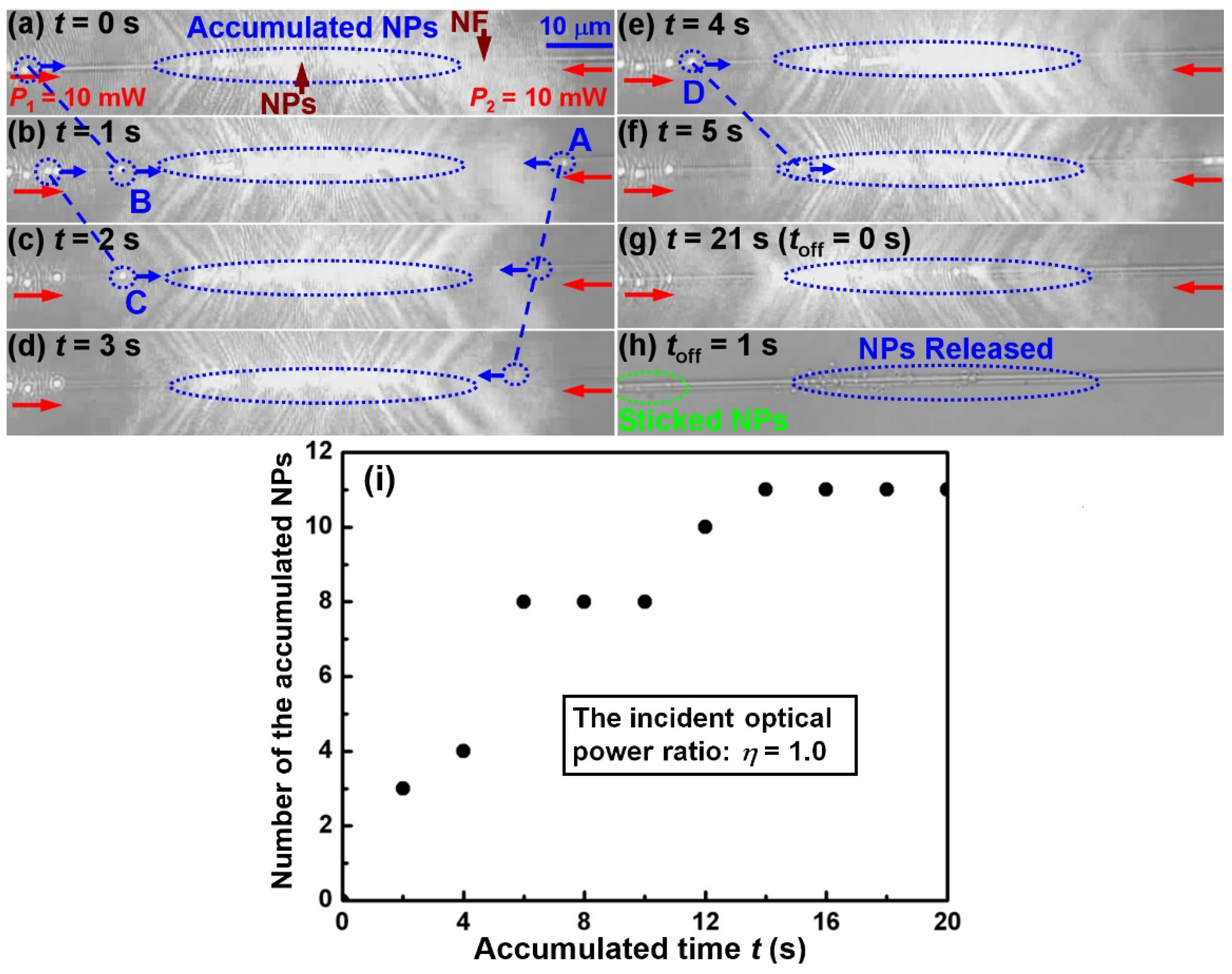 Molecules 27 03312 g002 550
