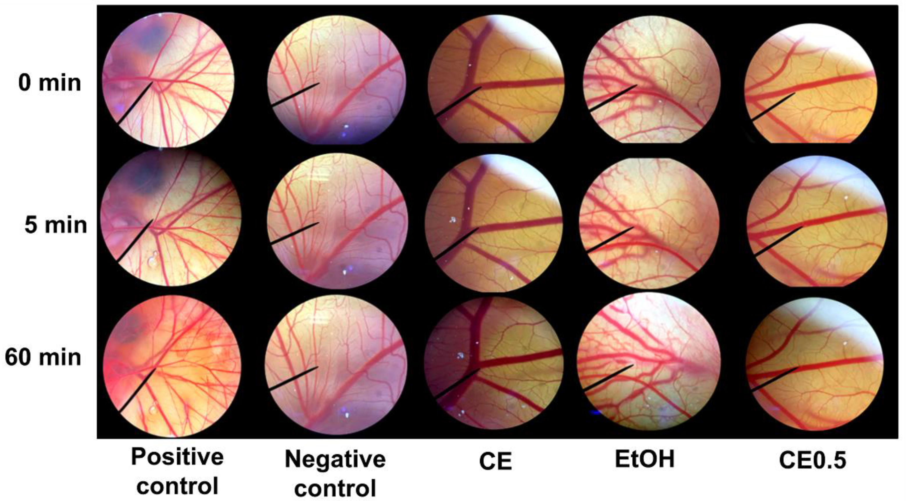 Molecules 27 03317 g005