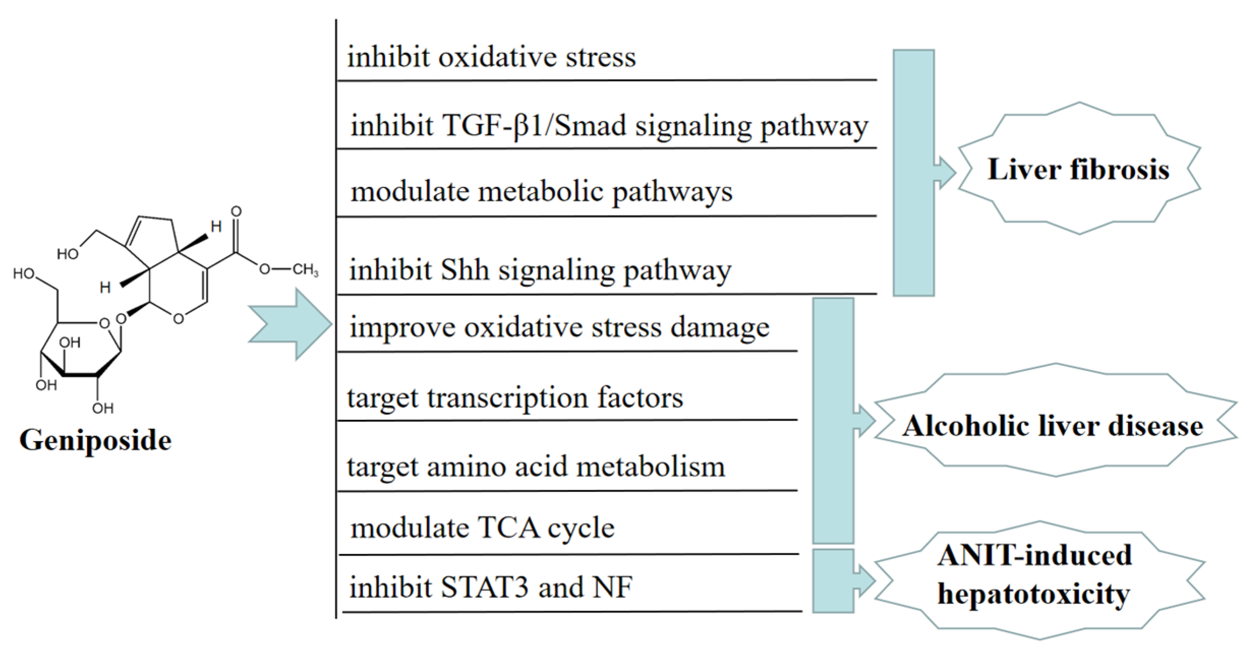 Molecules | Free Full-Text | Updated Pharmacological Effects, Molecular ...