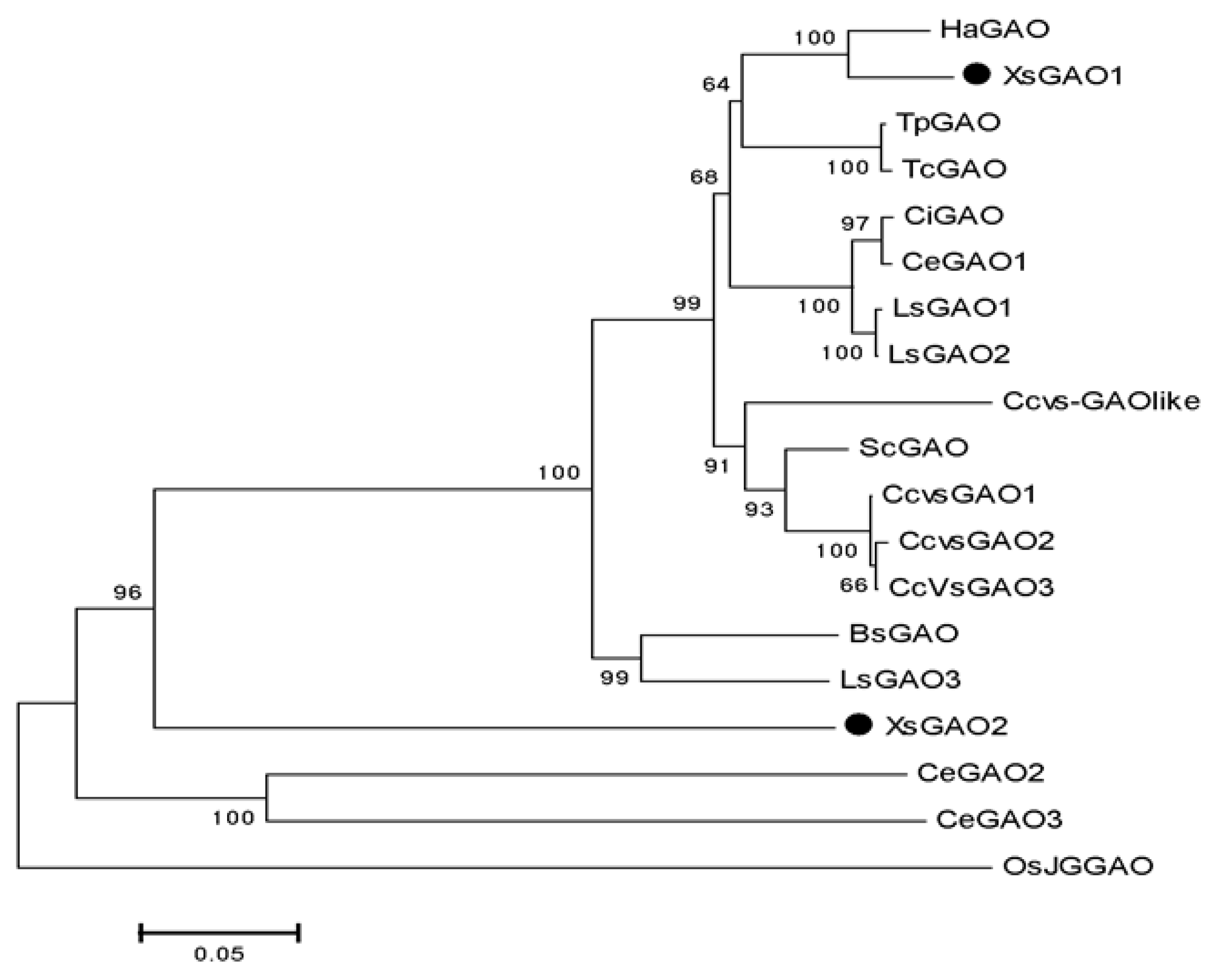 Molecules 27 03322 g003