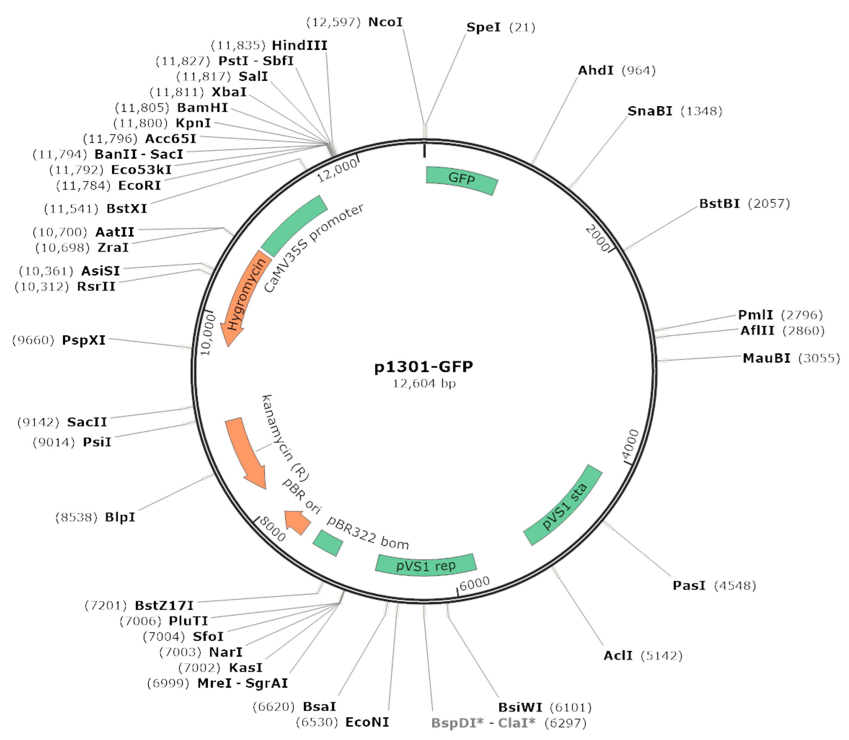 Molecules 27 03322 g0a6