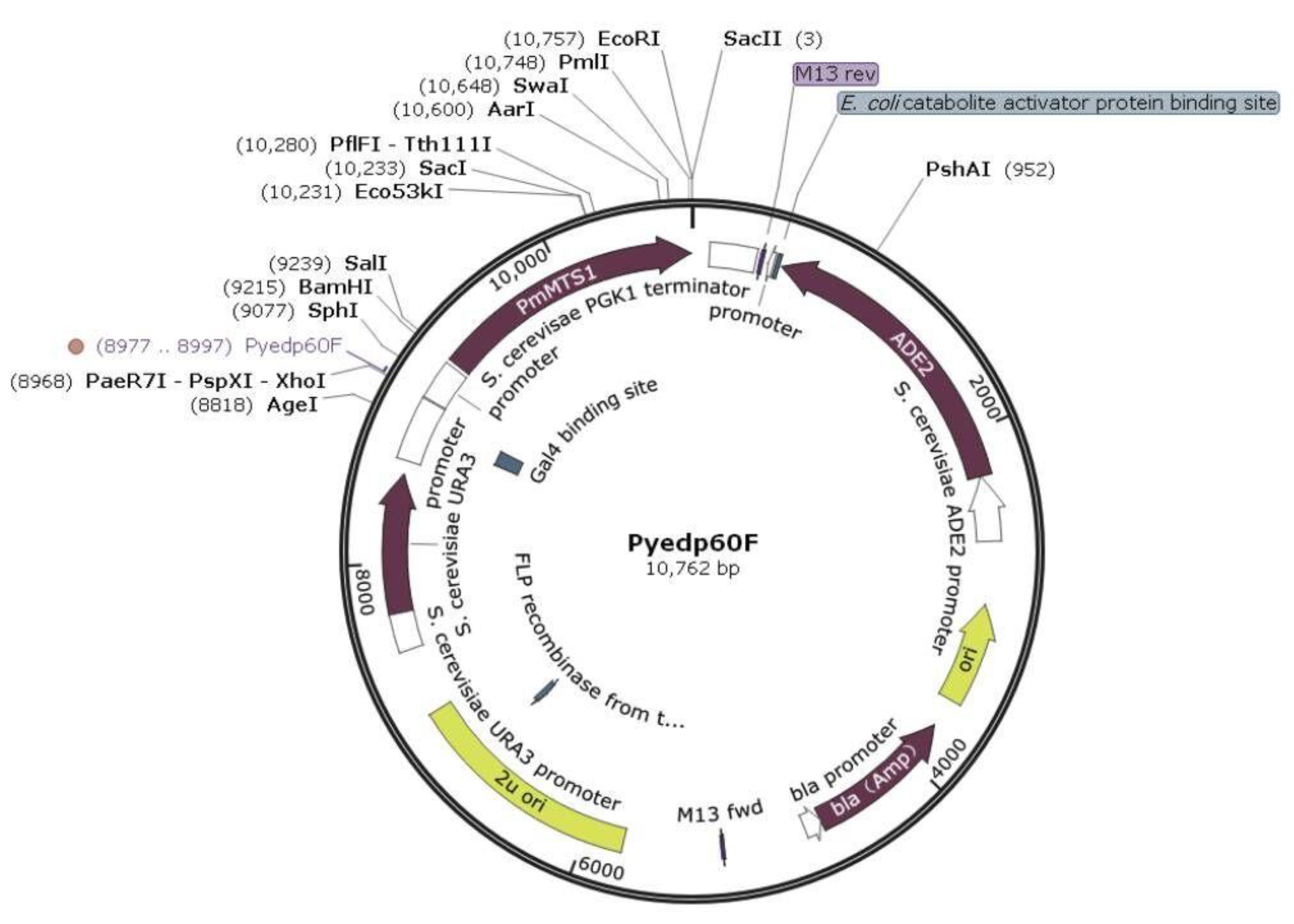 Molecules 27 03322 g0a7