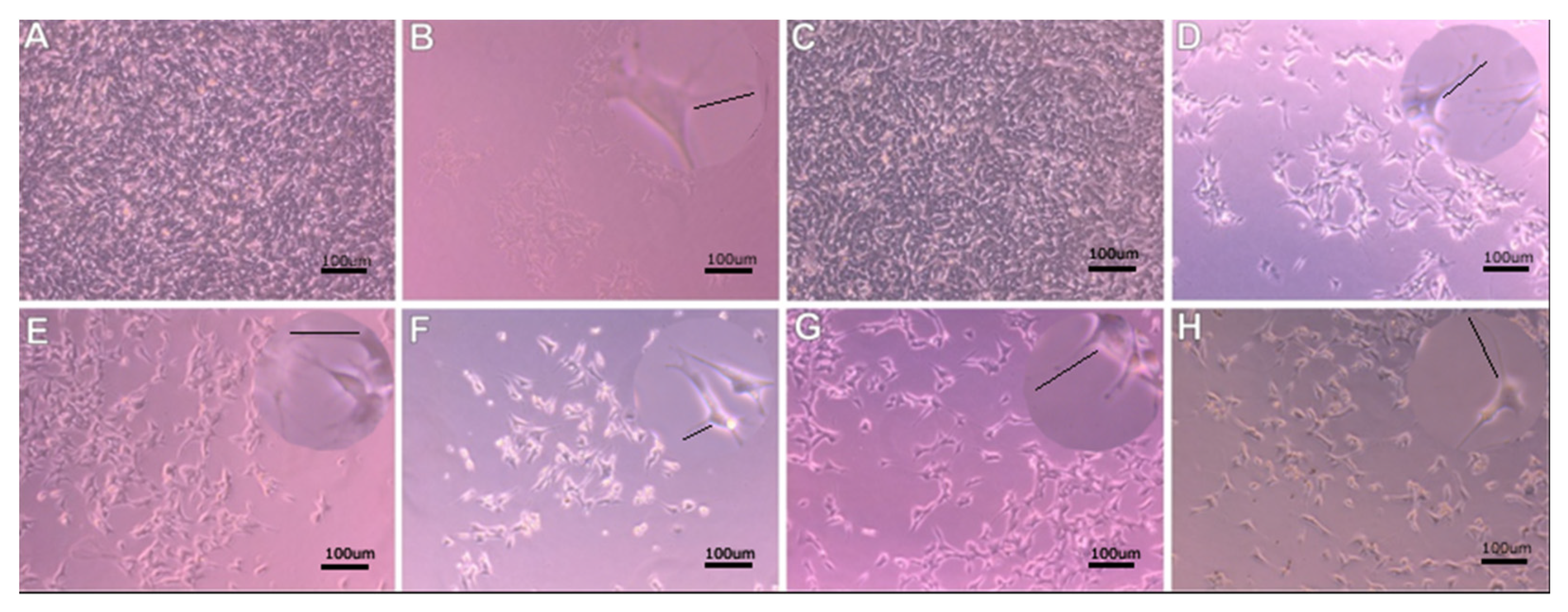 Molecules 27 03337 g003 Molecules 27 03337 g003