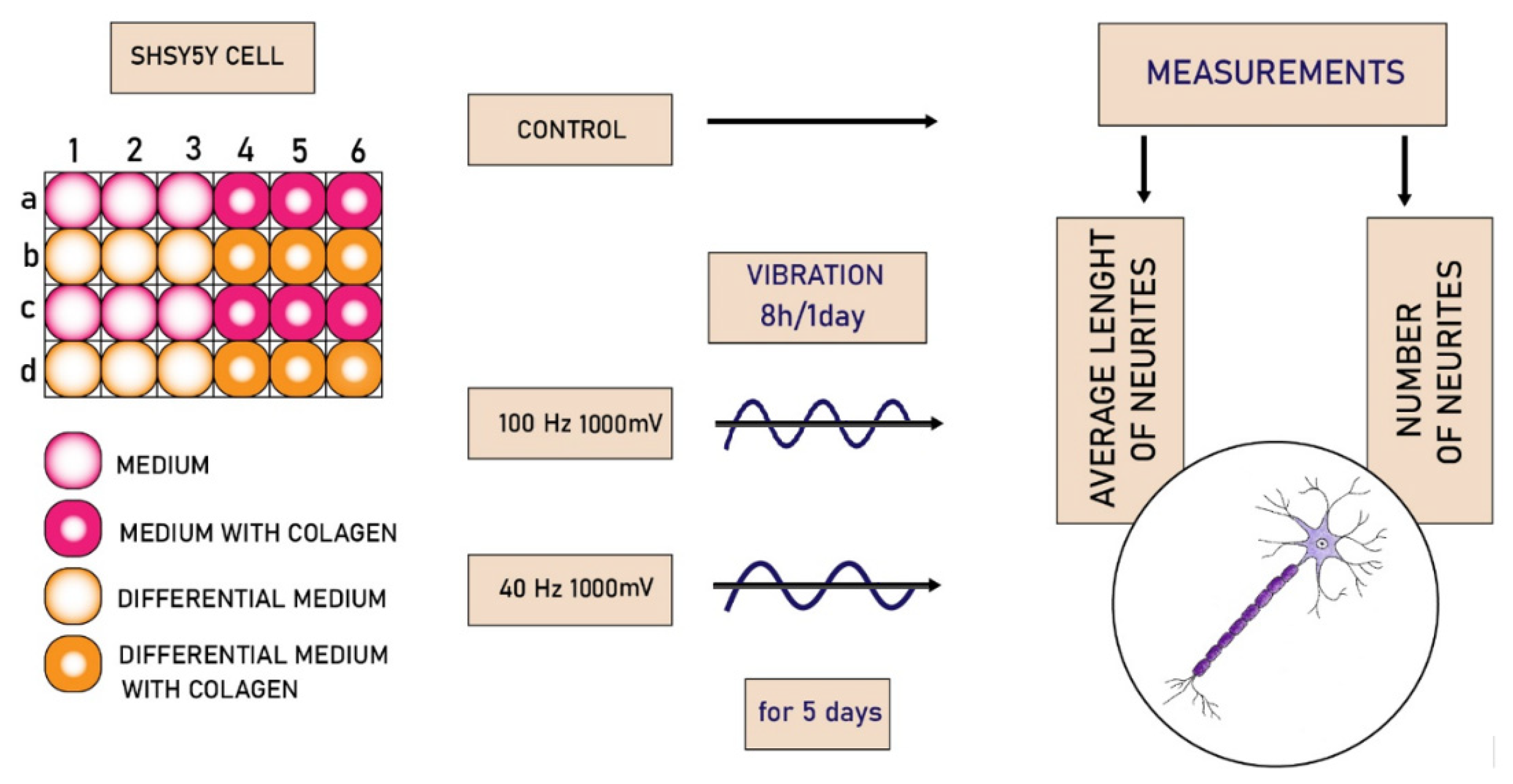 Molecules 27 03337 g006 Molecules 27 03337 g006