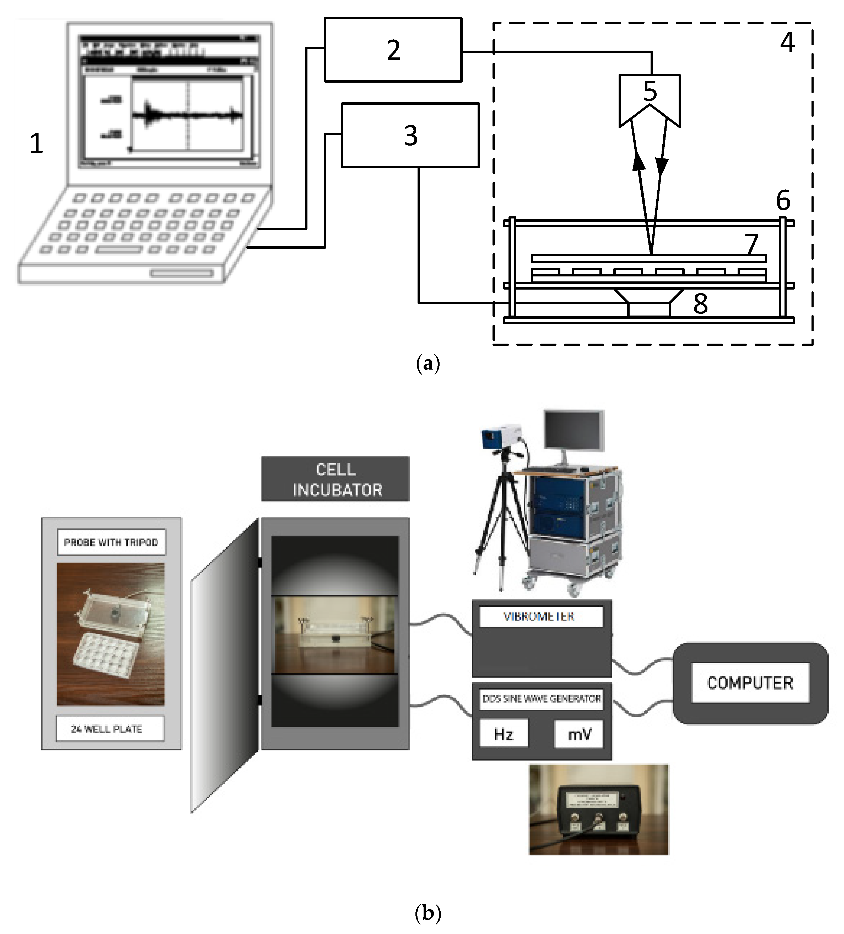 Molecules 27 03337 g007 Molecules 27 03337 g007