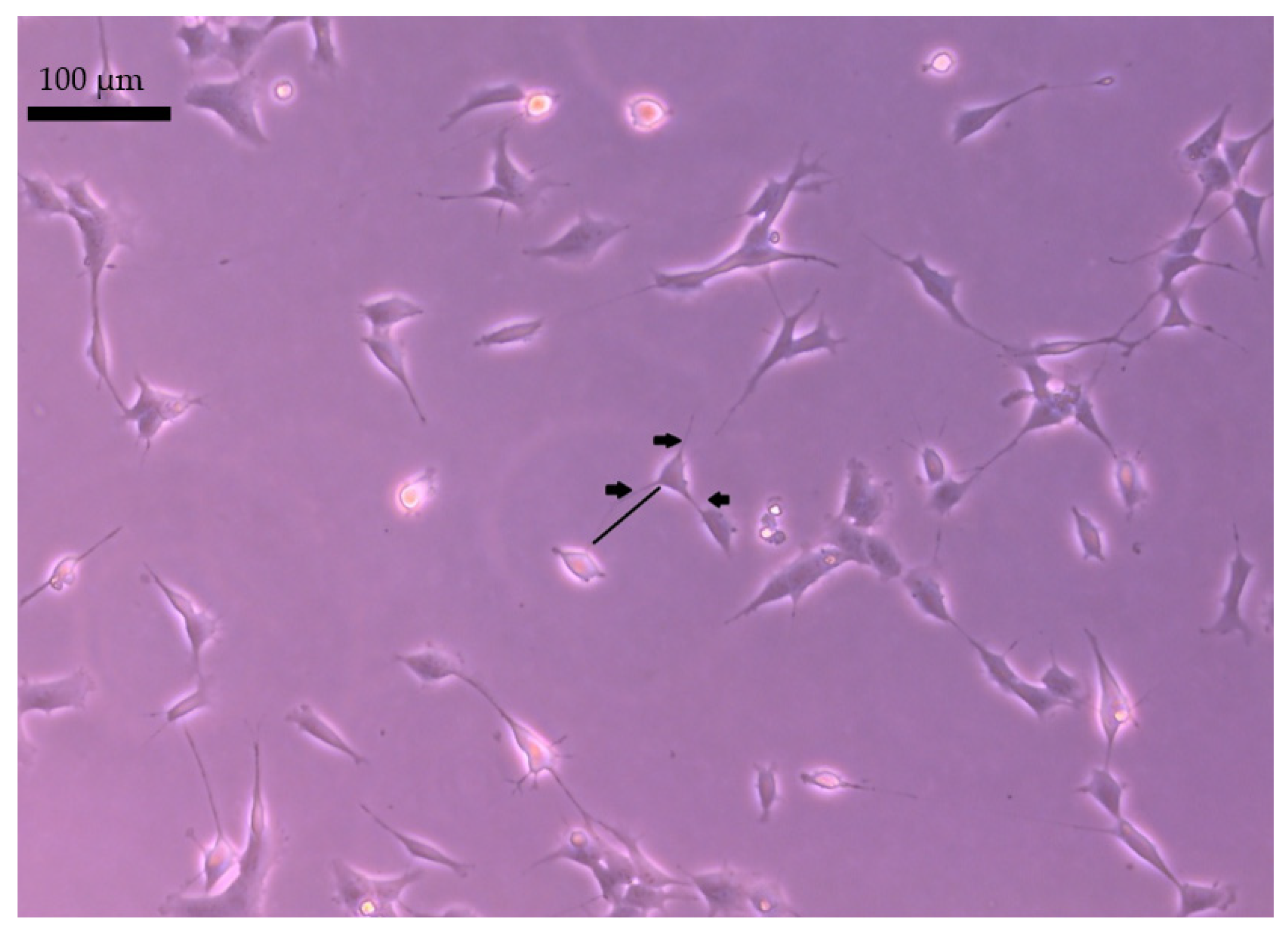 Molecules 27 03337 g009 Molecules 27 03337 g009