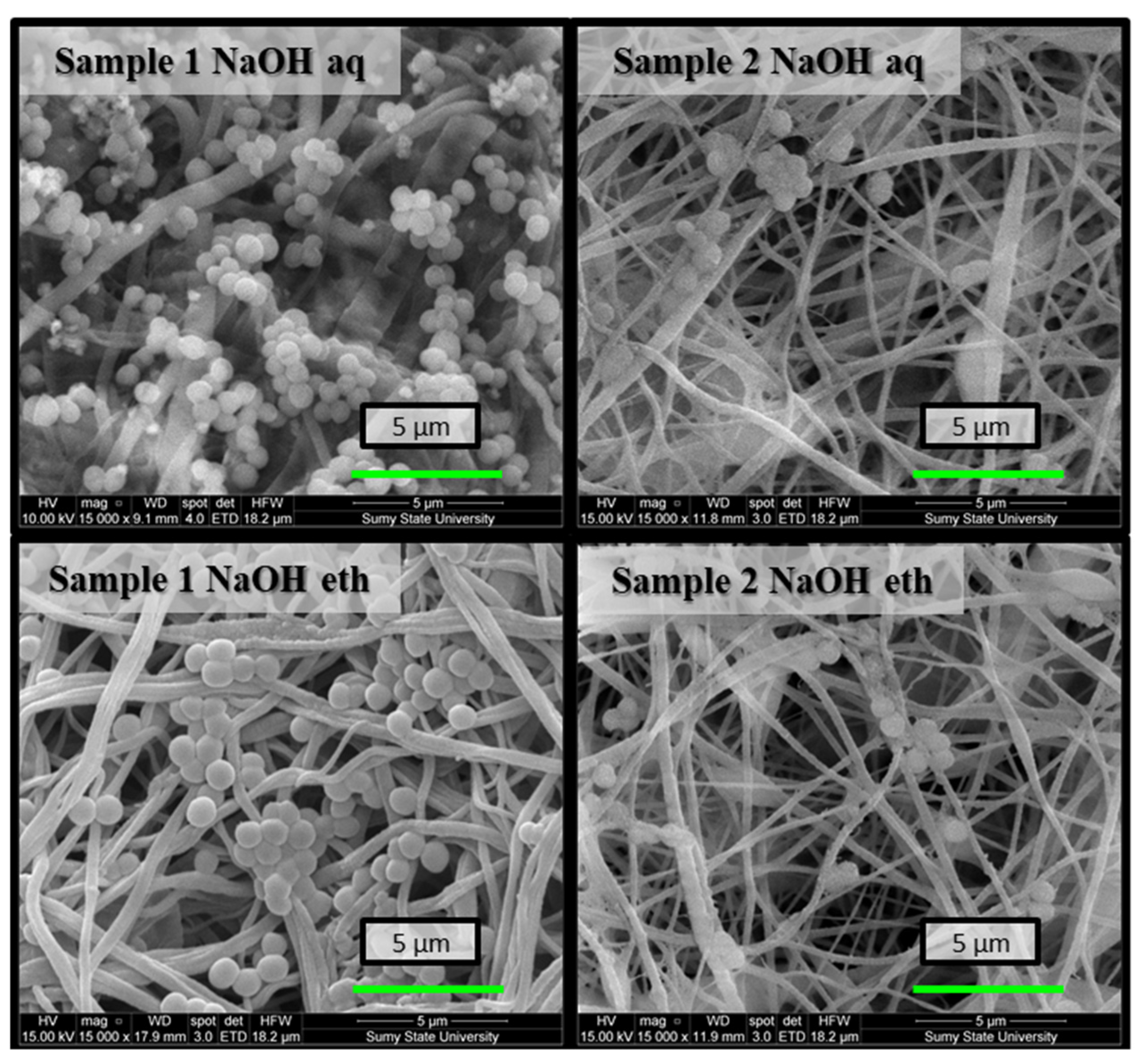 Molecules 27 03343 g006 550