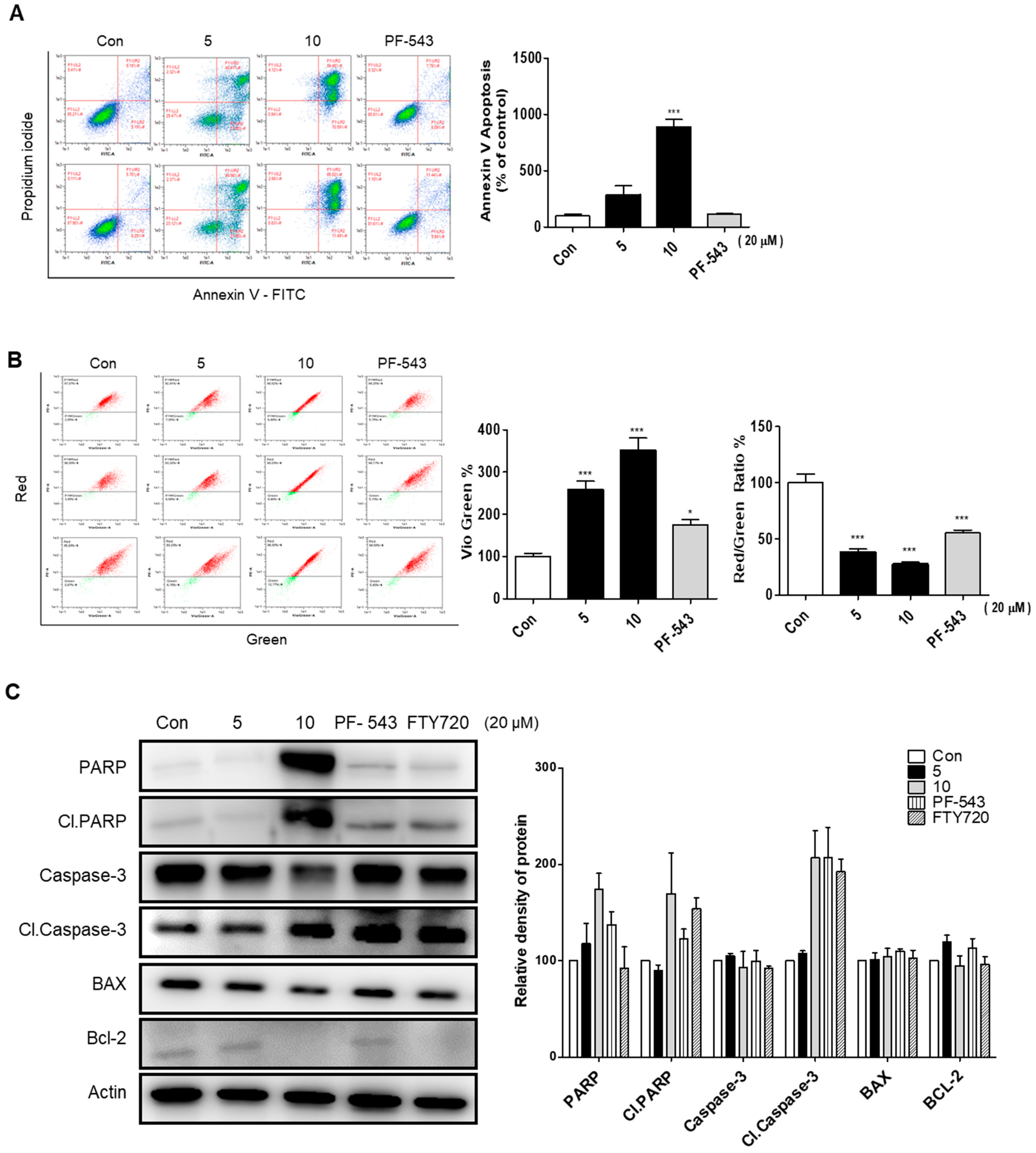 Molecules 27 03346 g004