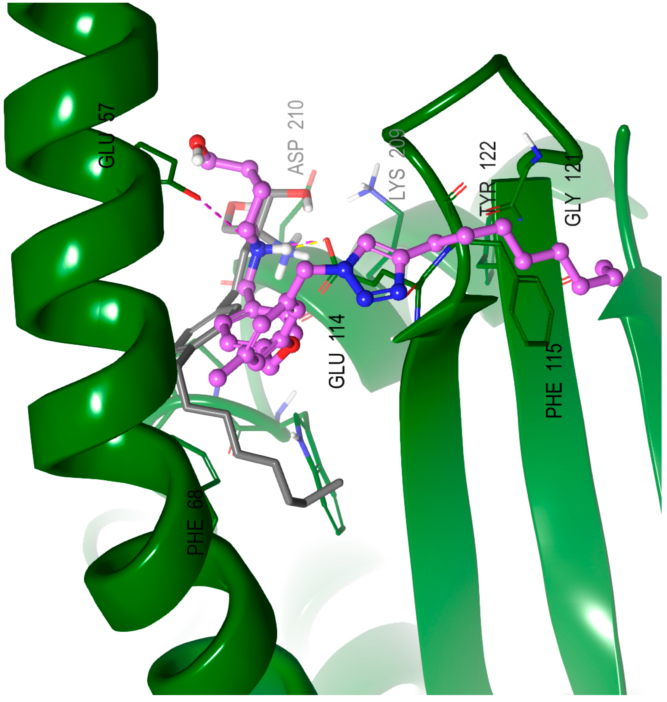 Molecules 27 03346 g006