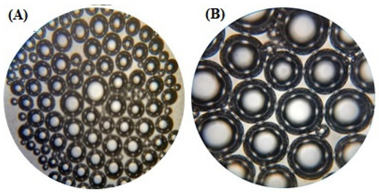 I AM THAT -アイアムザット Needleless electrospinning of poly (Ɛ-caprolactone