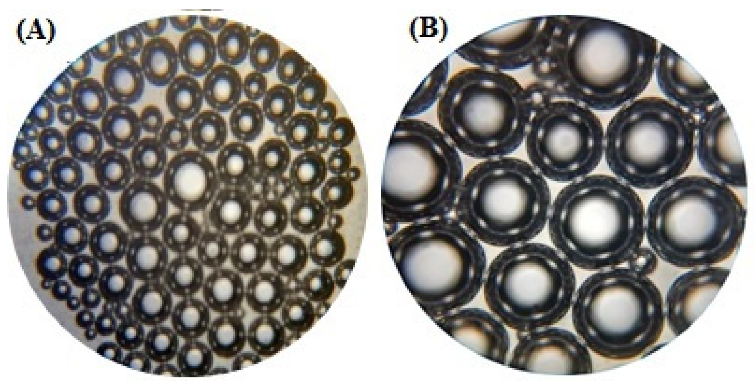 I AM THAT -アイアムザット car_b1c40fbd-7f64-4ac2-97ea-