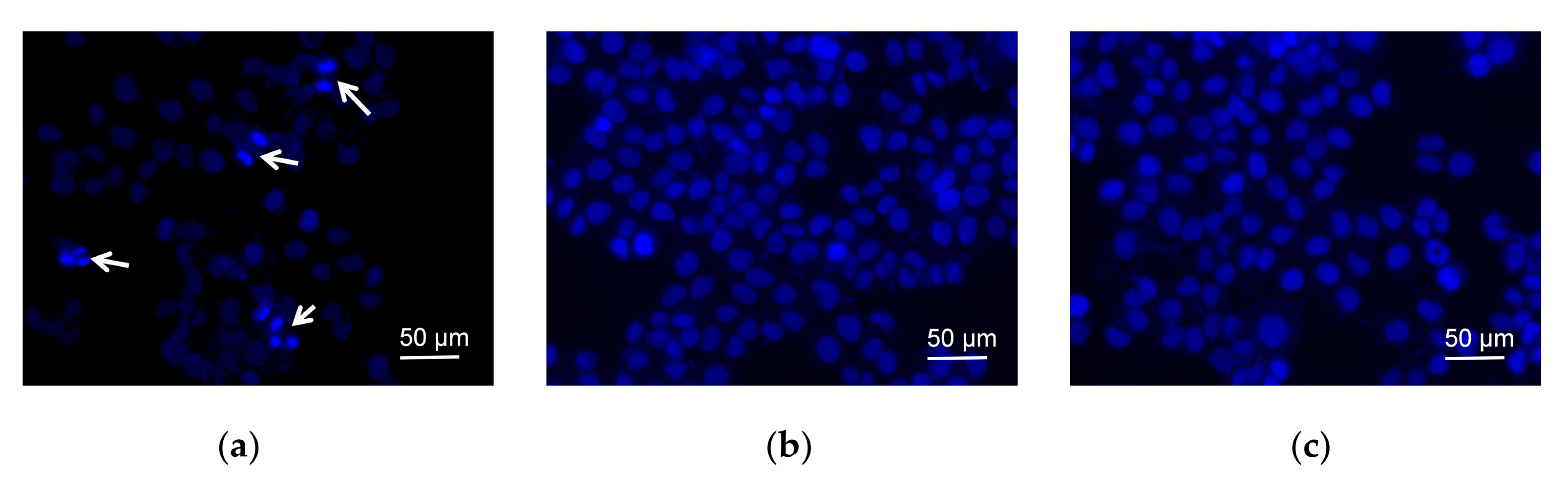 Molecules 27 03348 g003 550