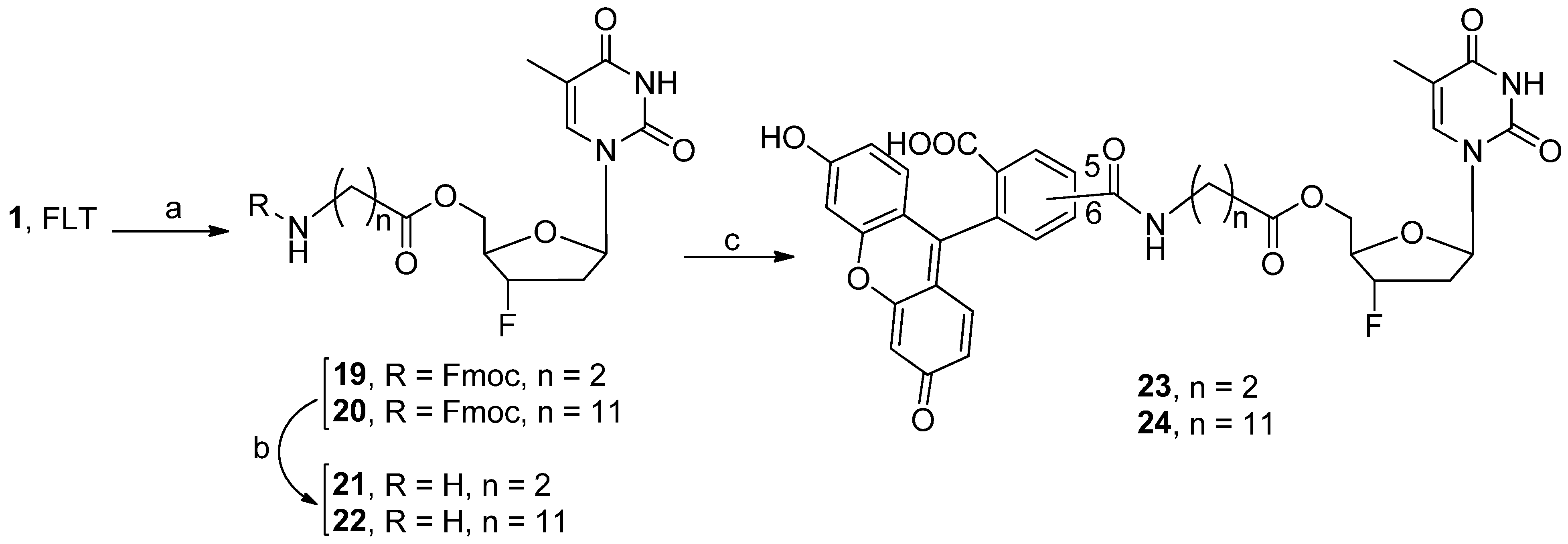 Molecules 27 03352 sch002 Molecules 27 03352 sch002