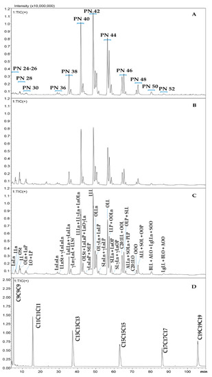 bél dysbiosis cink