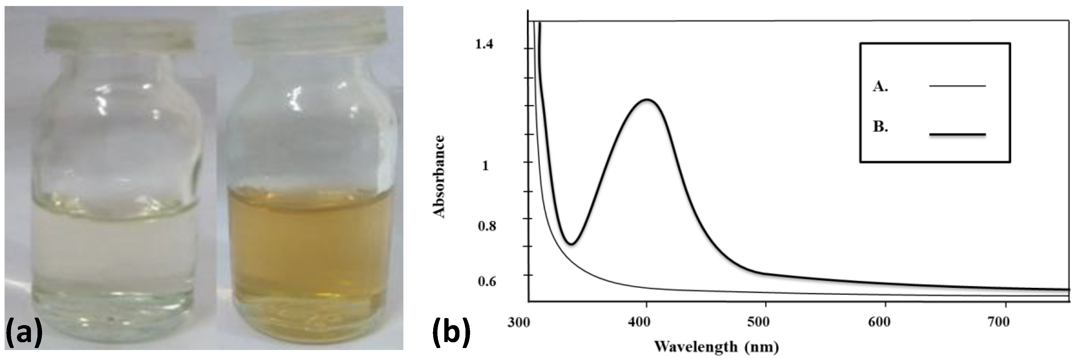 Molecules 27 03363 g001