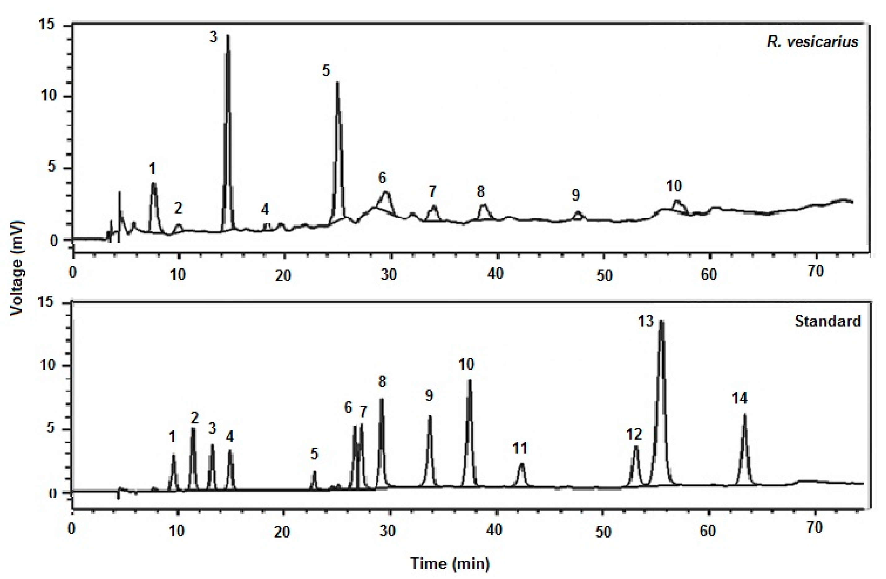 Molecules 27 03383 g001