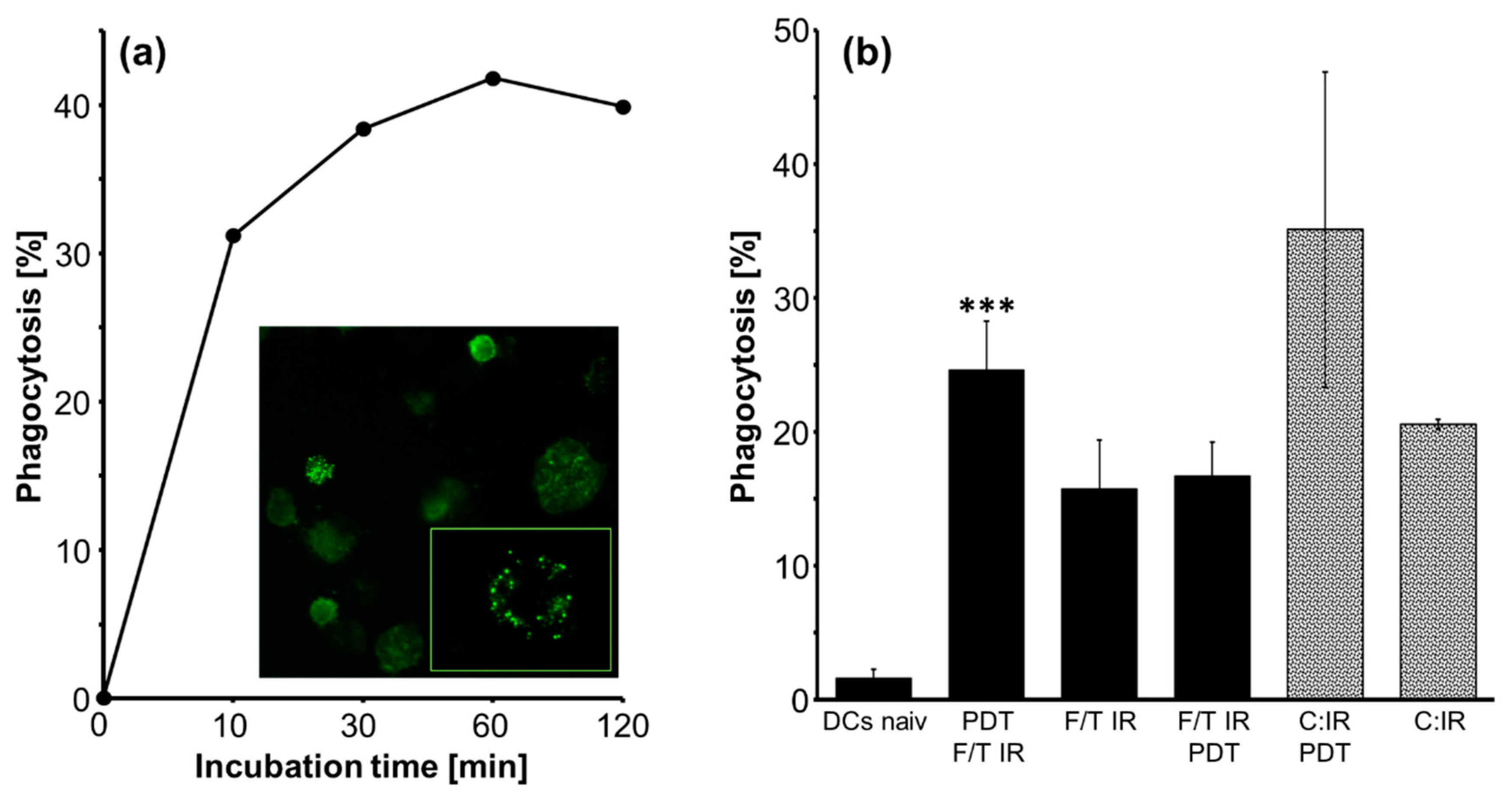 Molecules 27 03384 g003 Molecules 27 03384 g003