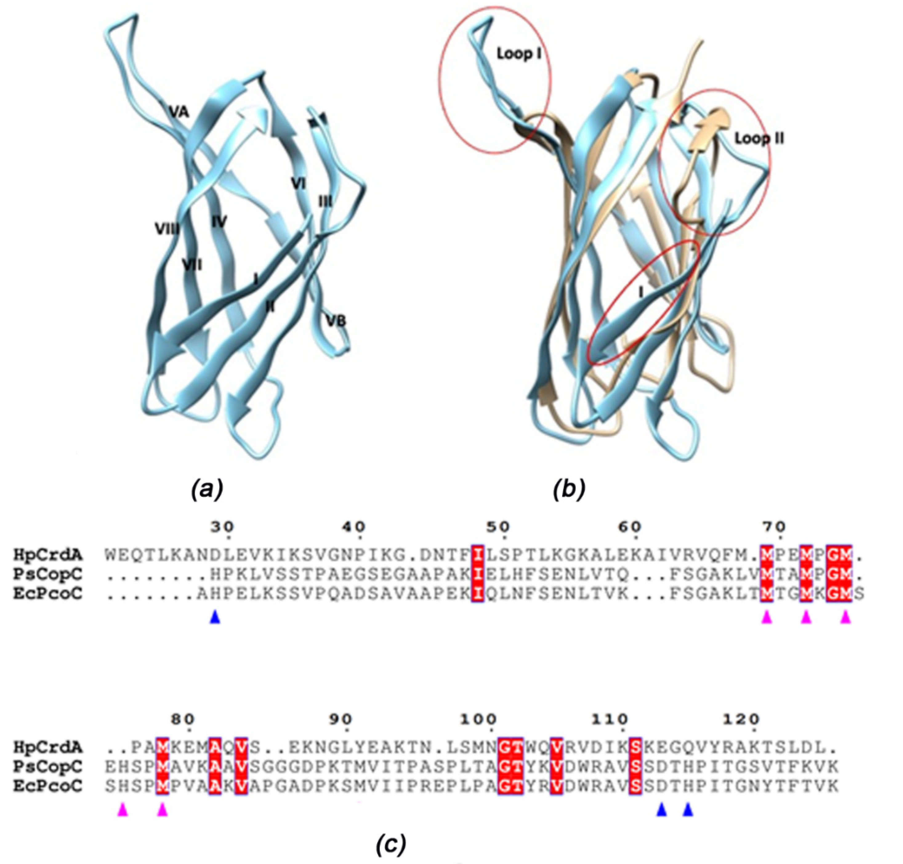 Molecules 27 03387 g006 550