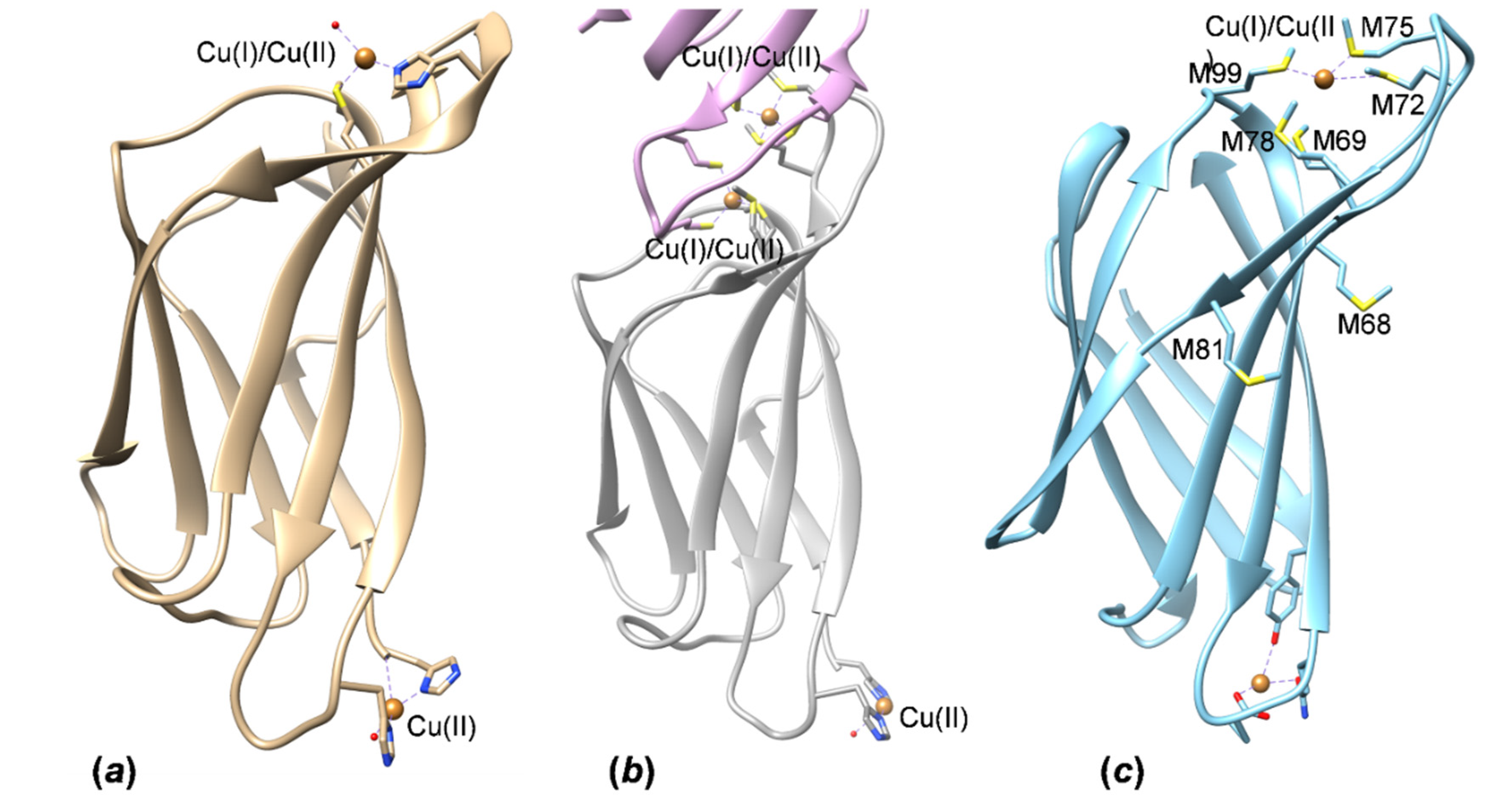 Molecules 27 03387 g007 550