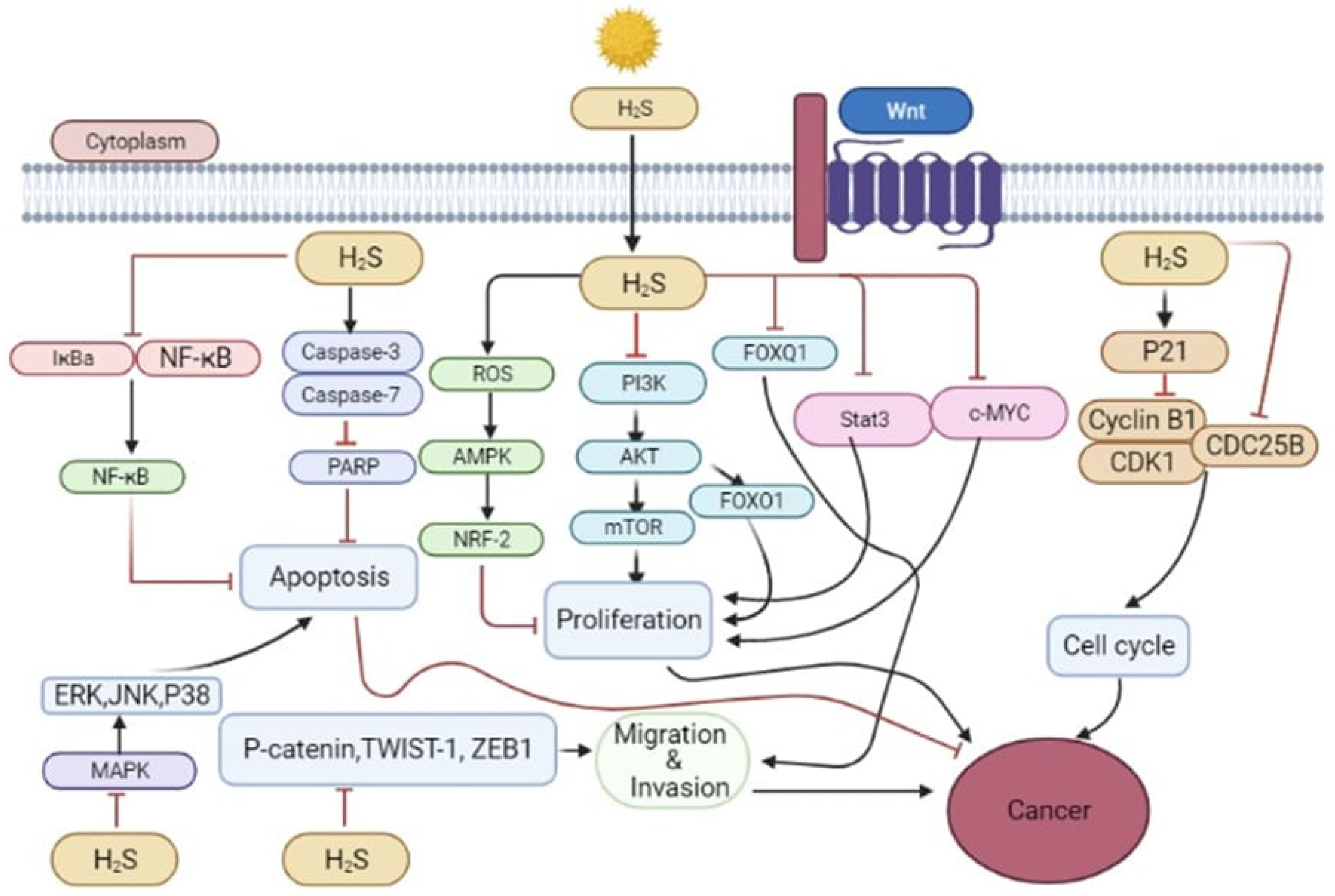 Molecules 27 03389 g003