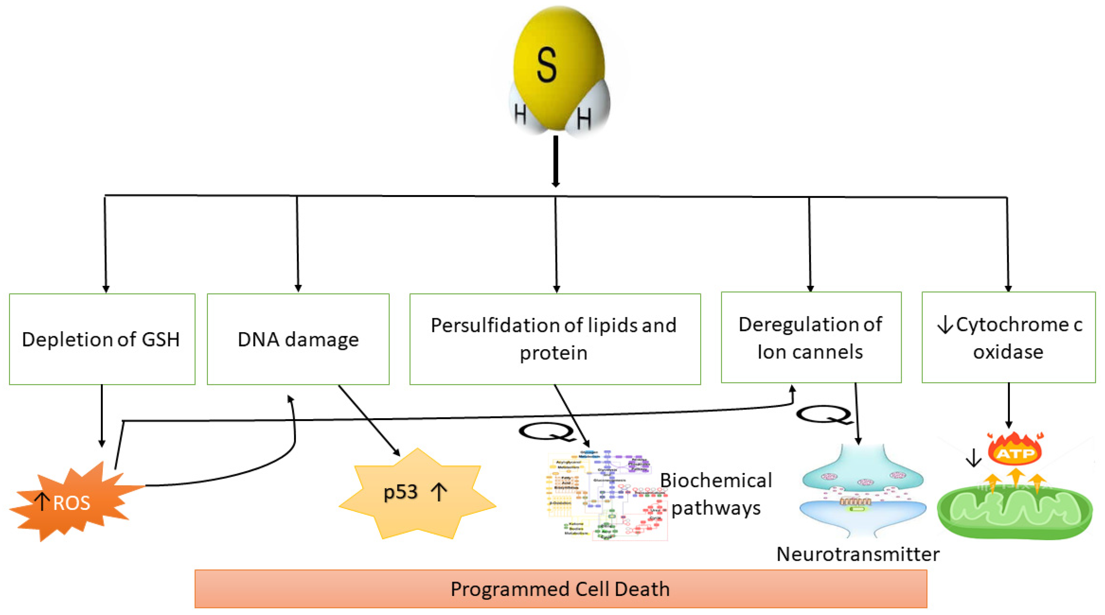 Molecules 27 03389 g004
