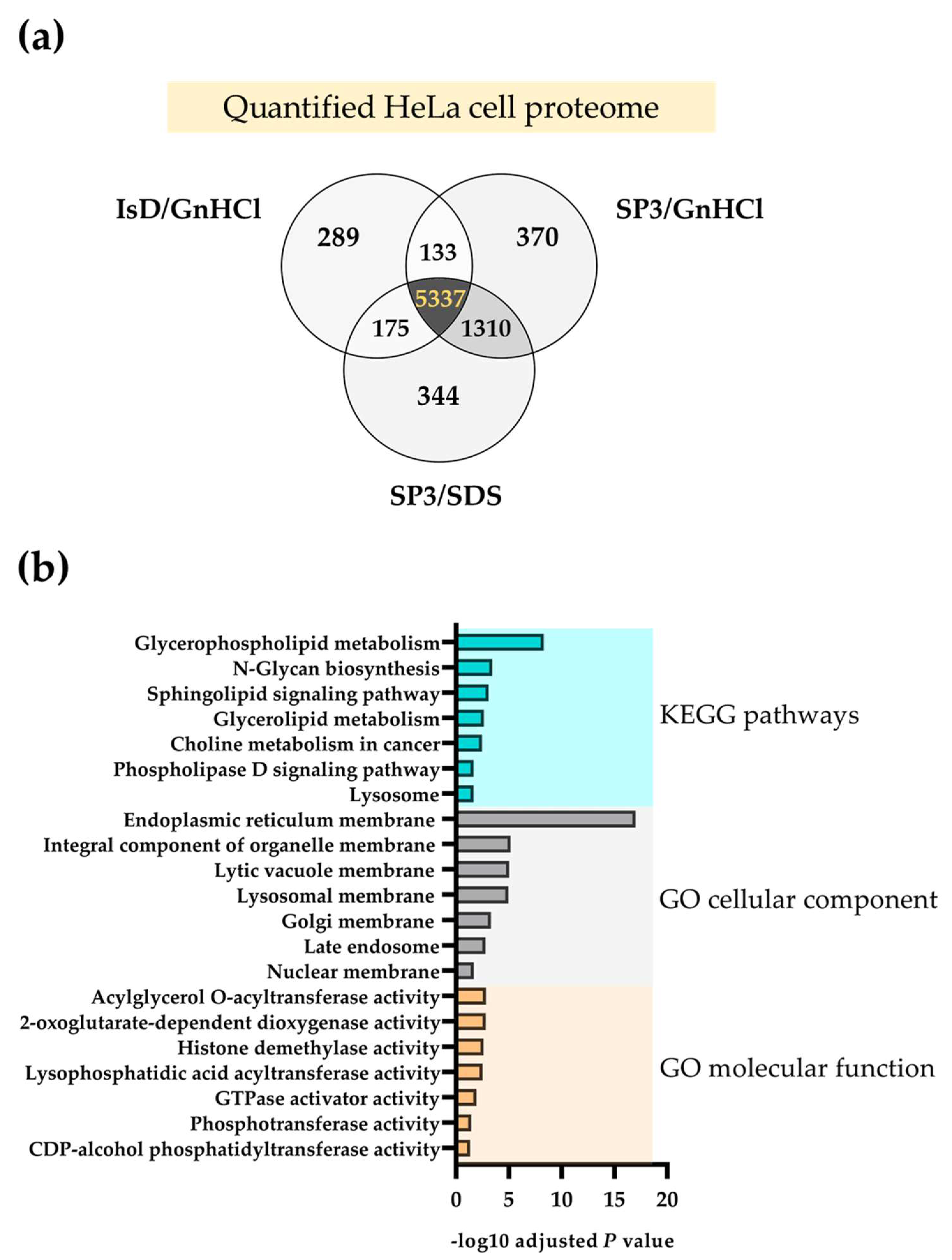 Molecules 27 03390 g004