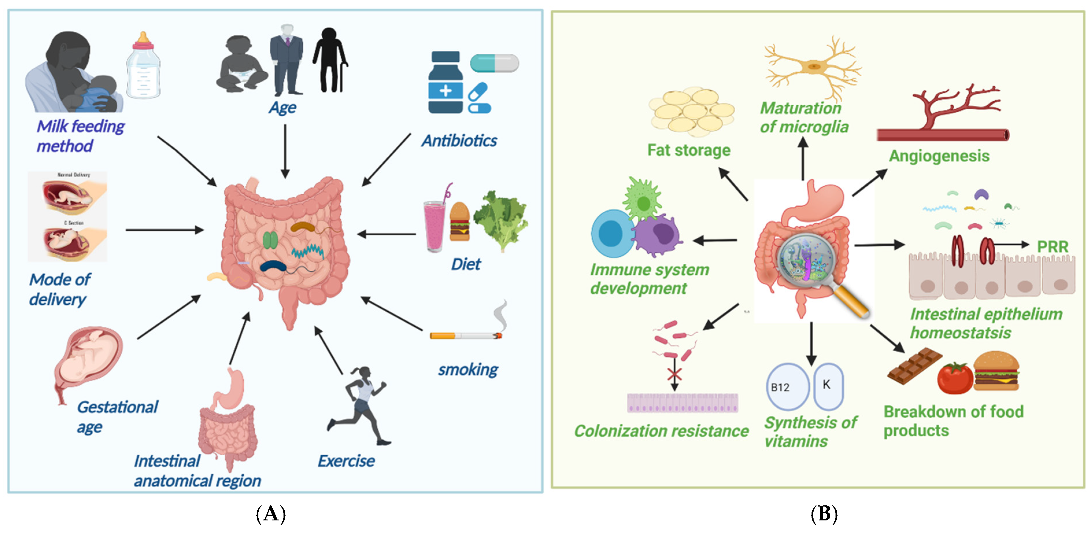 Molecules 27 03402 g001