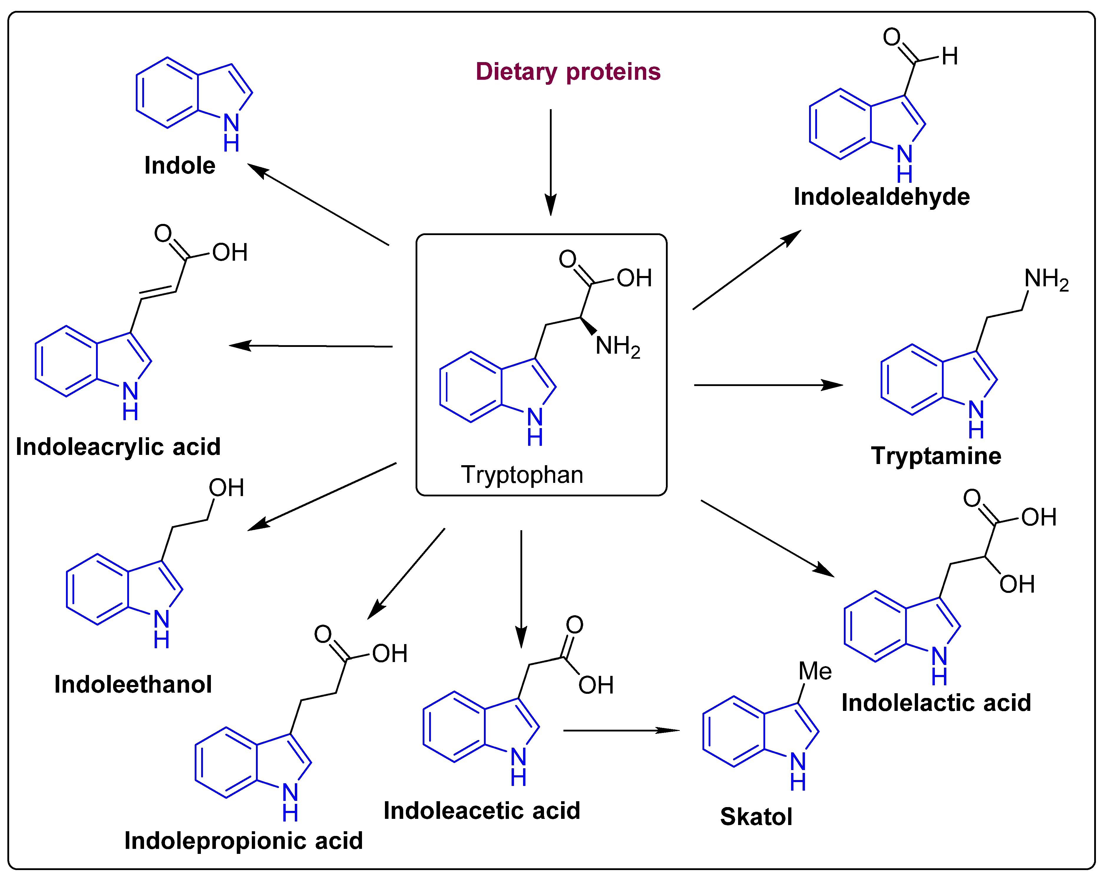 Molecules 27 03402 g003