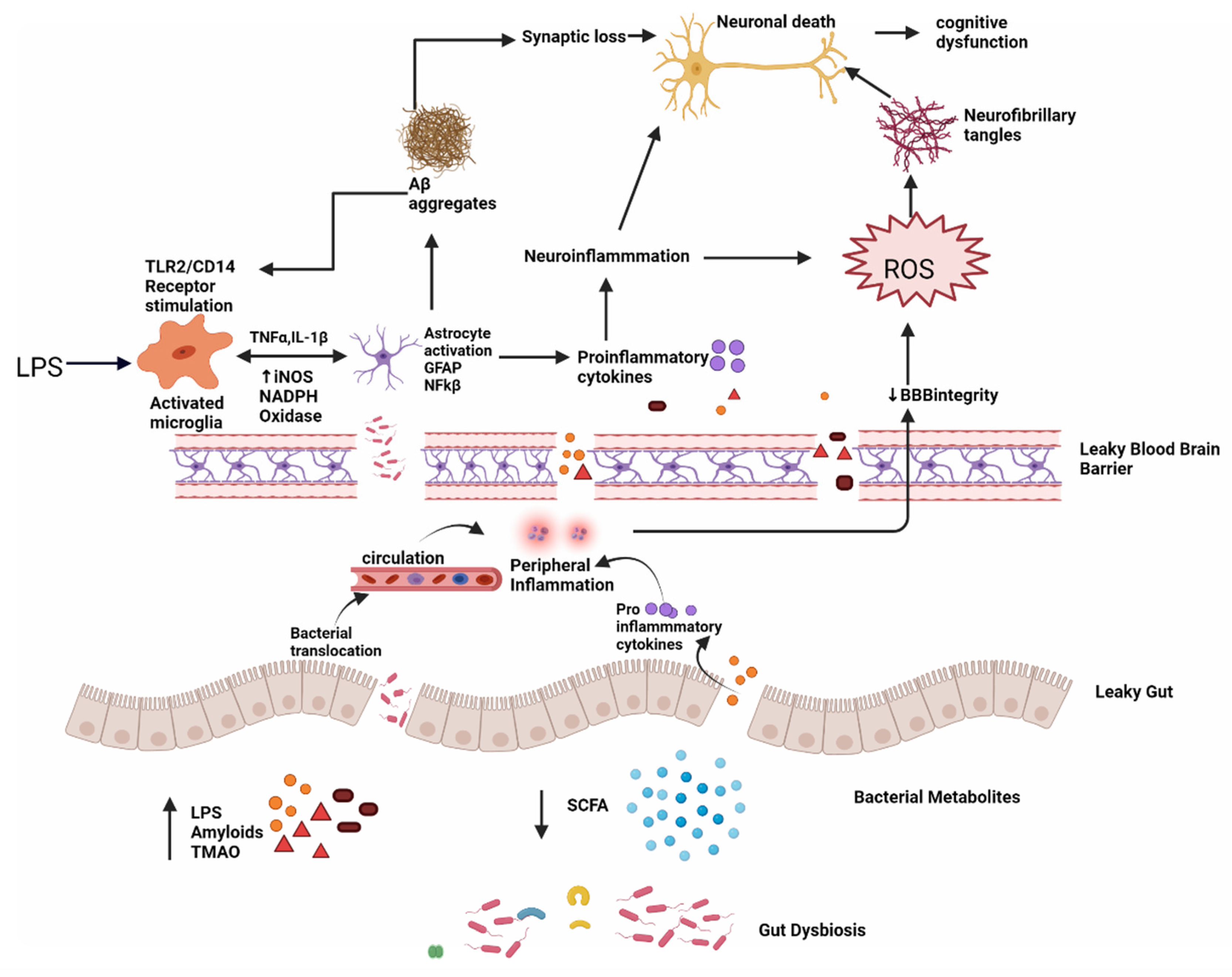 Molecules 27 03402 g005