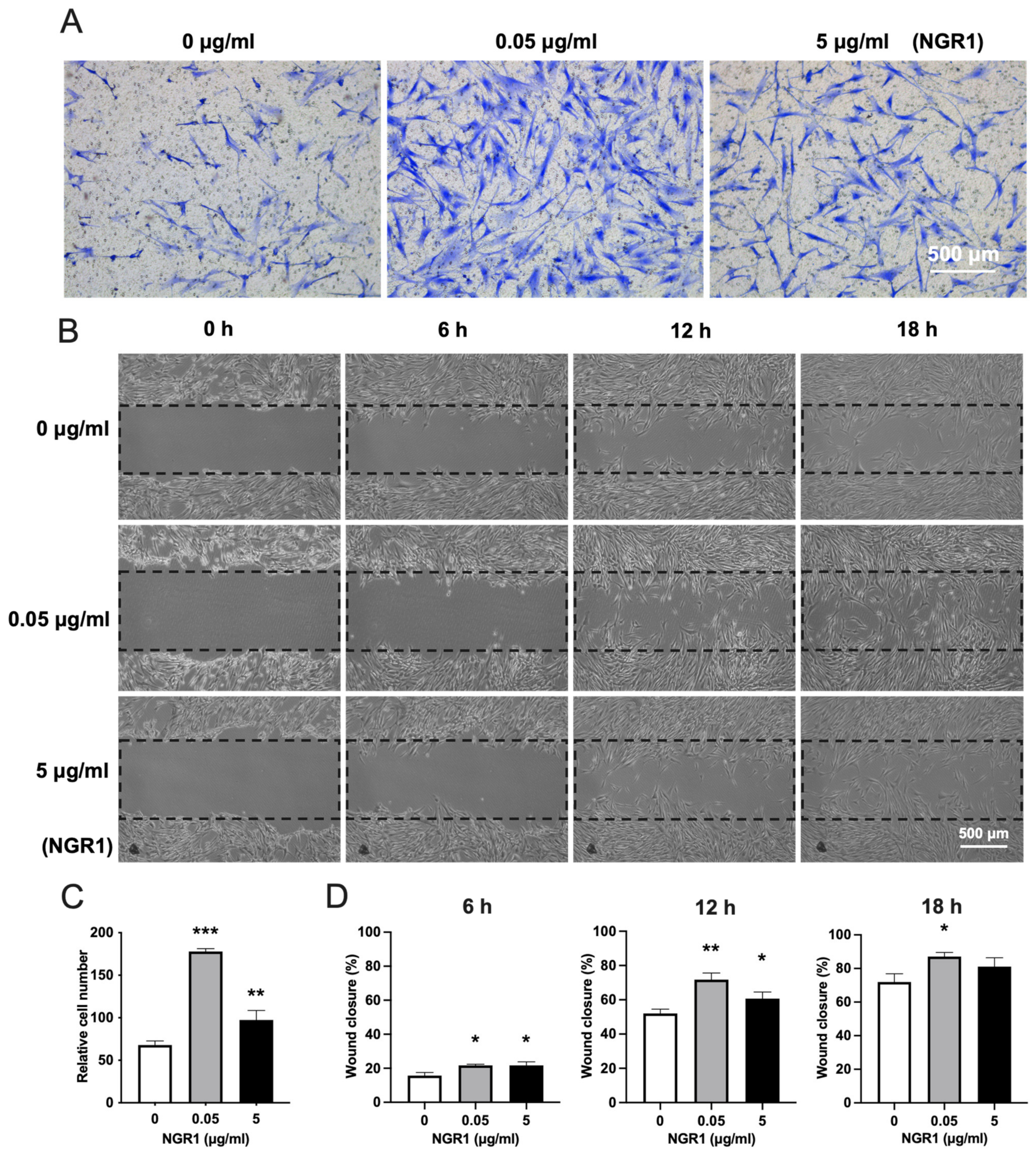 Molecules 27 03403 g005