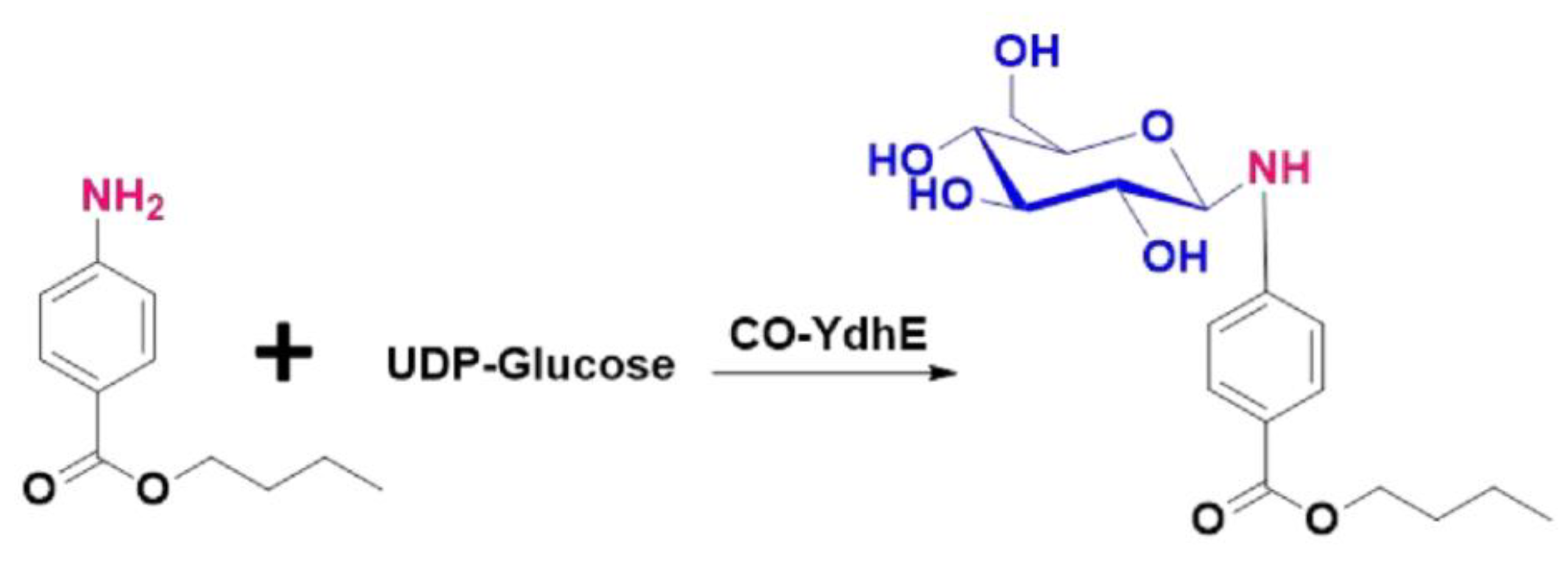 Molecules 27 03405 g001 Molecules 27 03405 g001