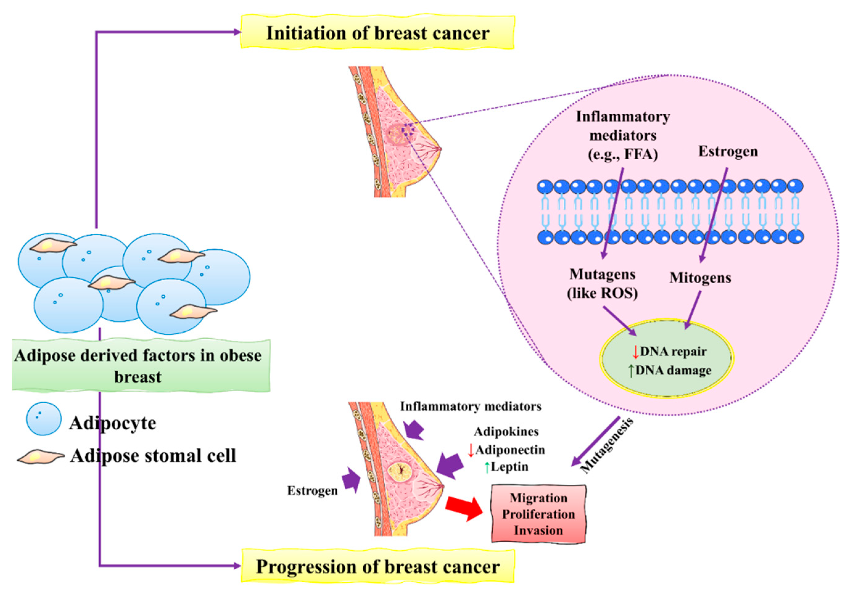 Molecules 27 03412 g001 Molecules 27 03412 g001