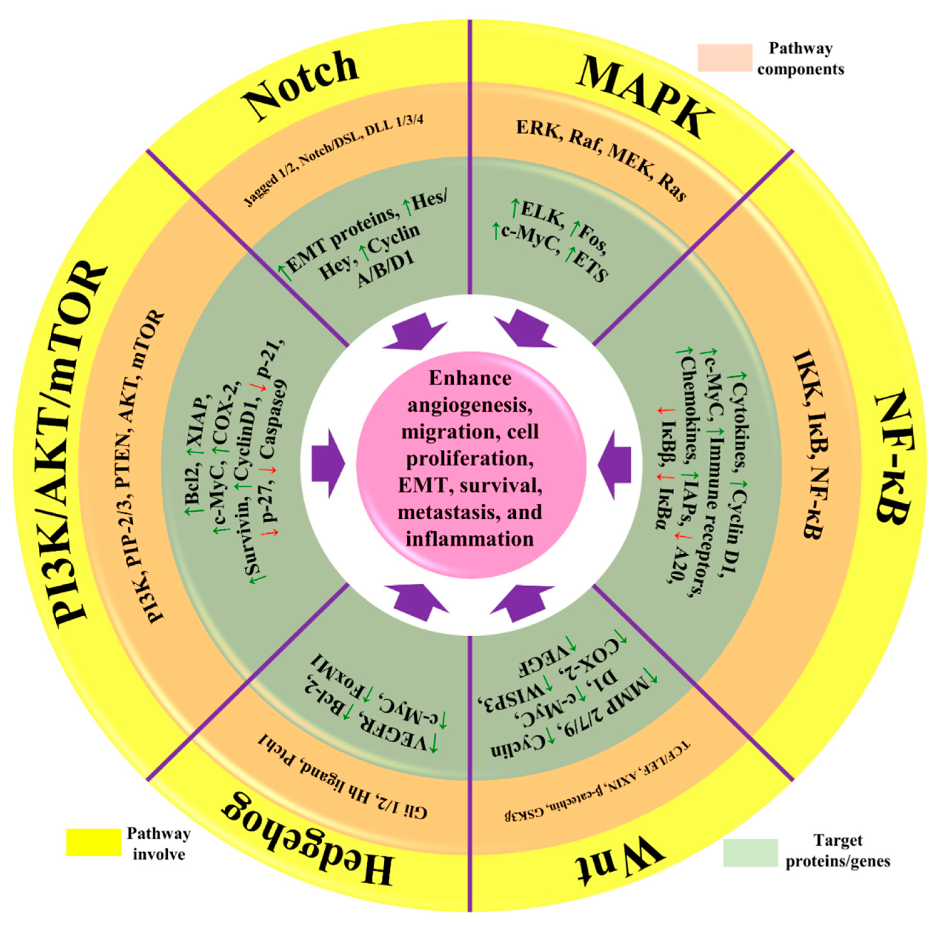 Molecules 27 03412 g002 Molecules 27 03412 g002