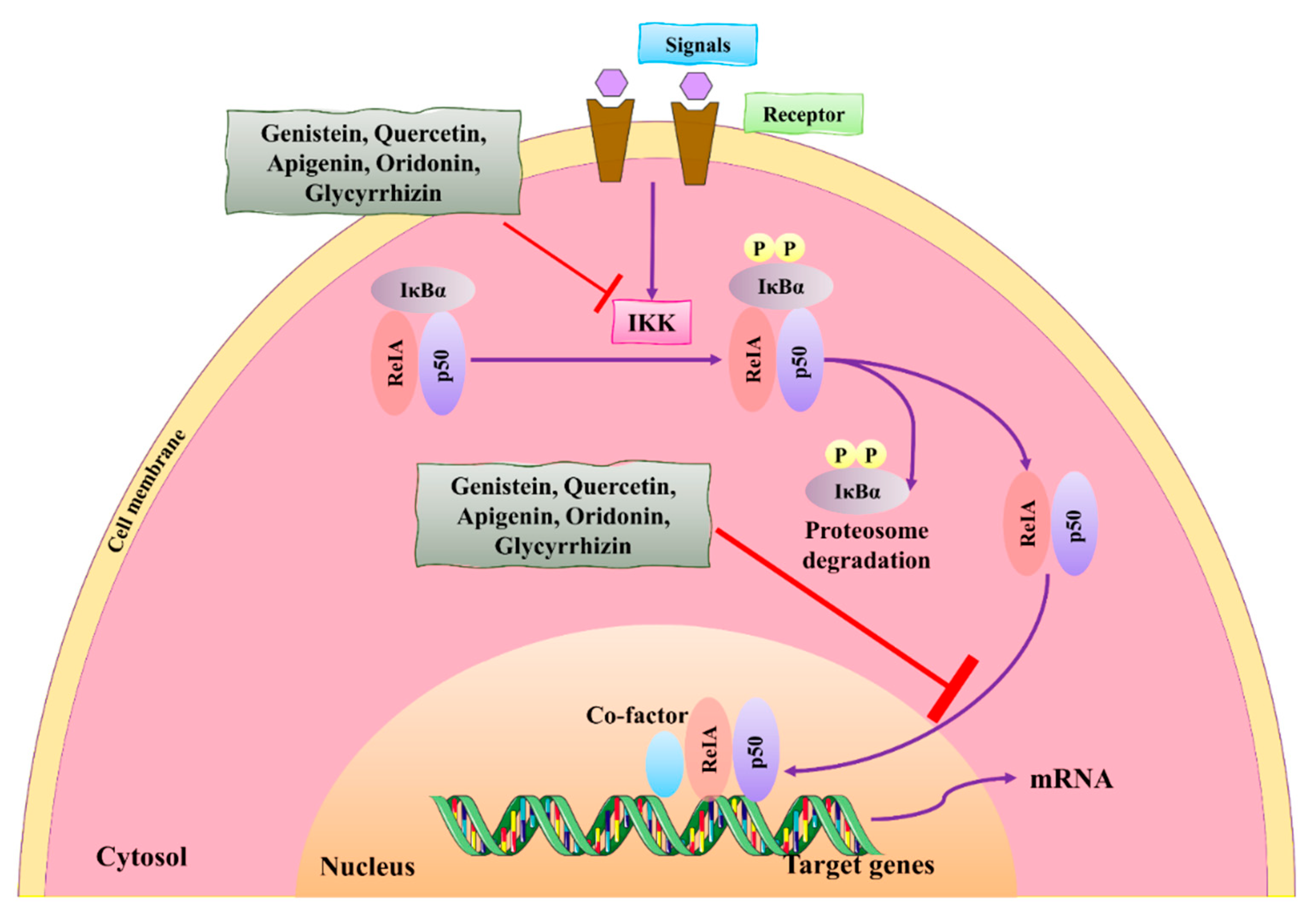 Molecules 27 03412 g004 Molecules 27 03412 g004