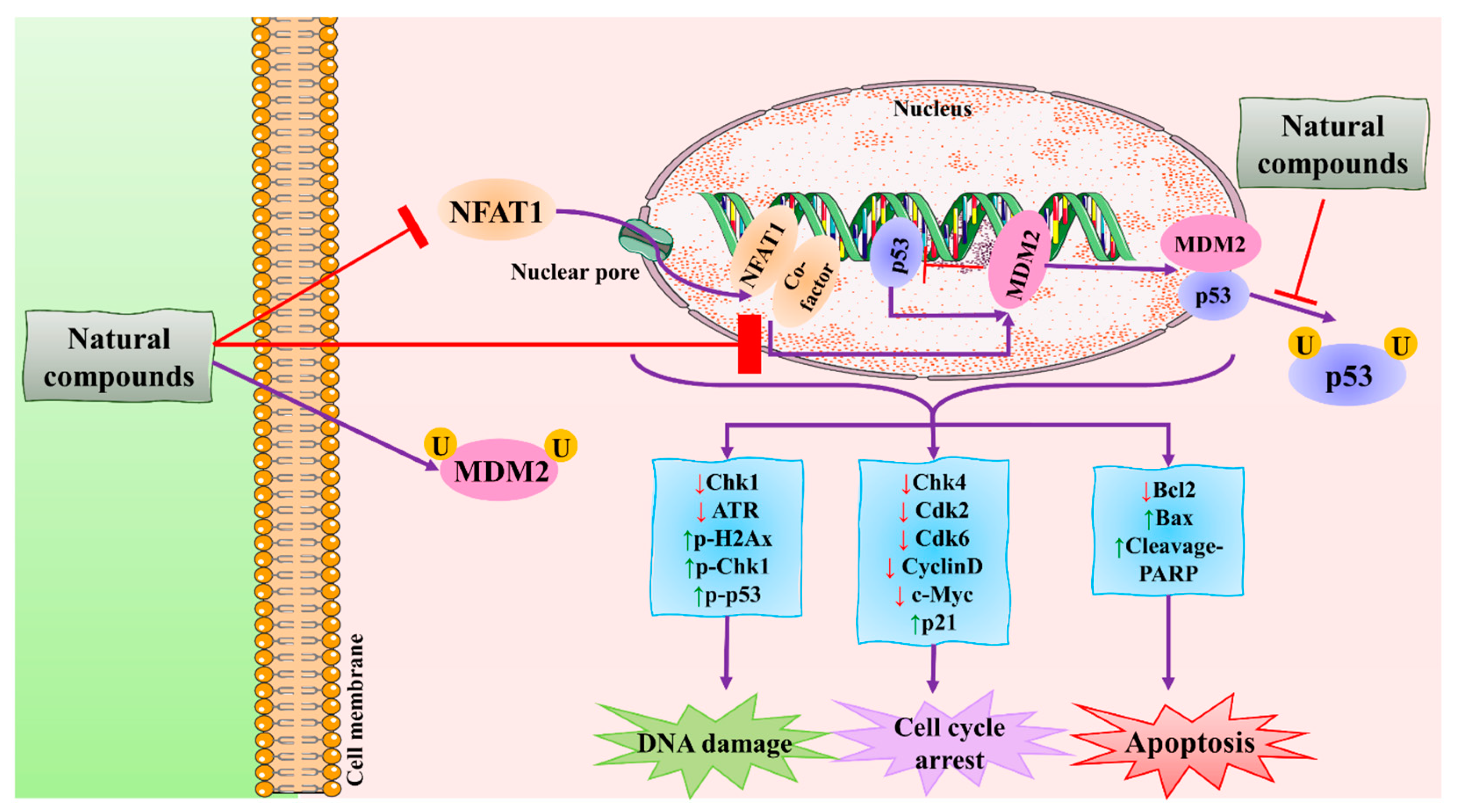 Molecules 27 03412 g007 Molecules 27 03412 g007