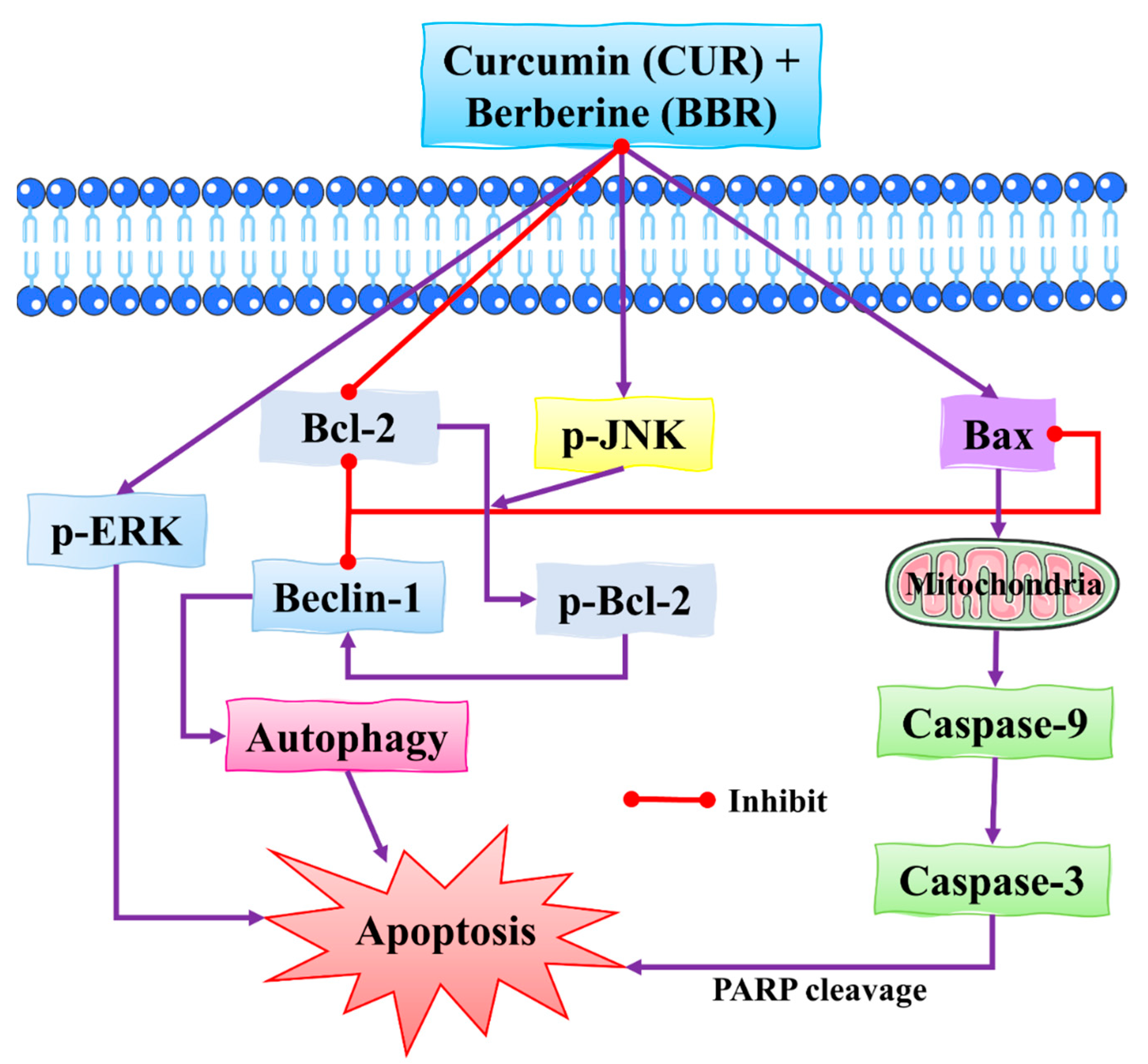 Molecules 27 03412 g008 Molecules 27 03412 g008