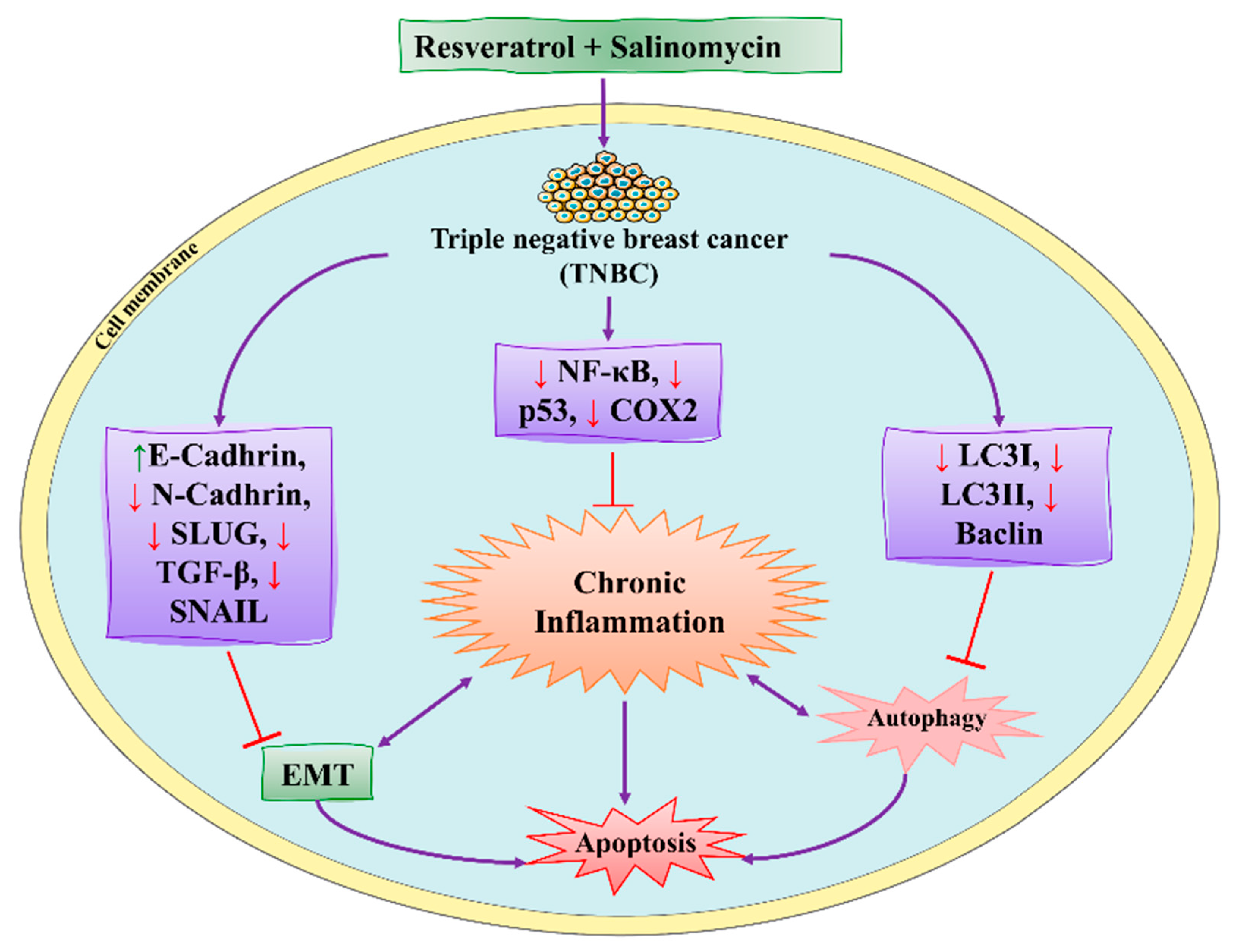 Molecules 27 03412 g010 Molecules 27 03412 g010