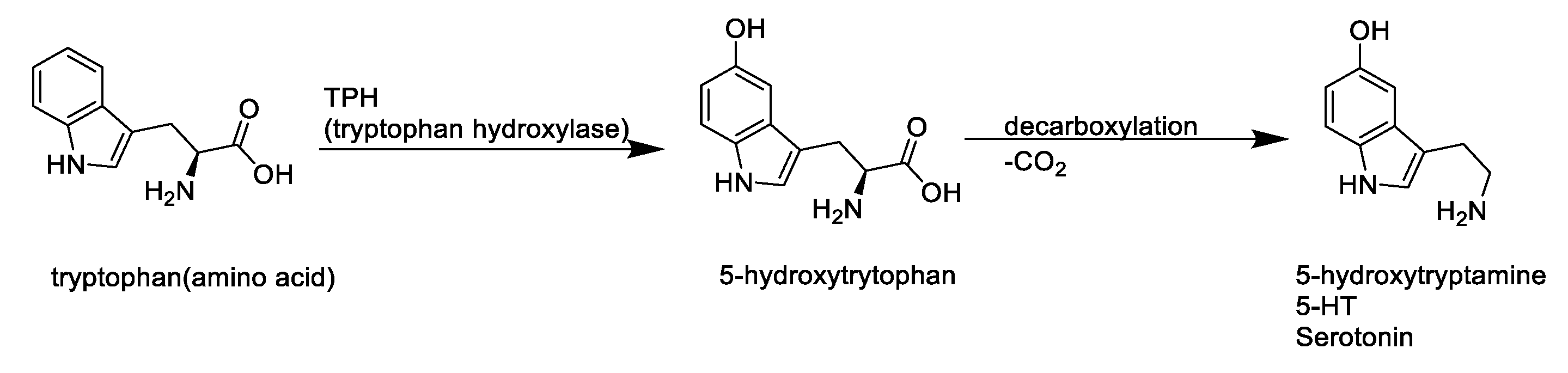 Molecules 27 03417 g001 550