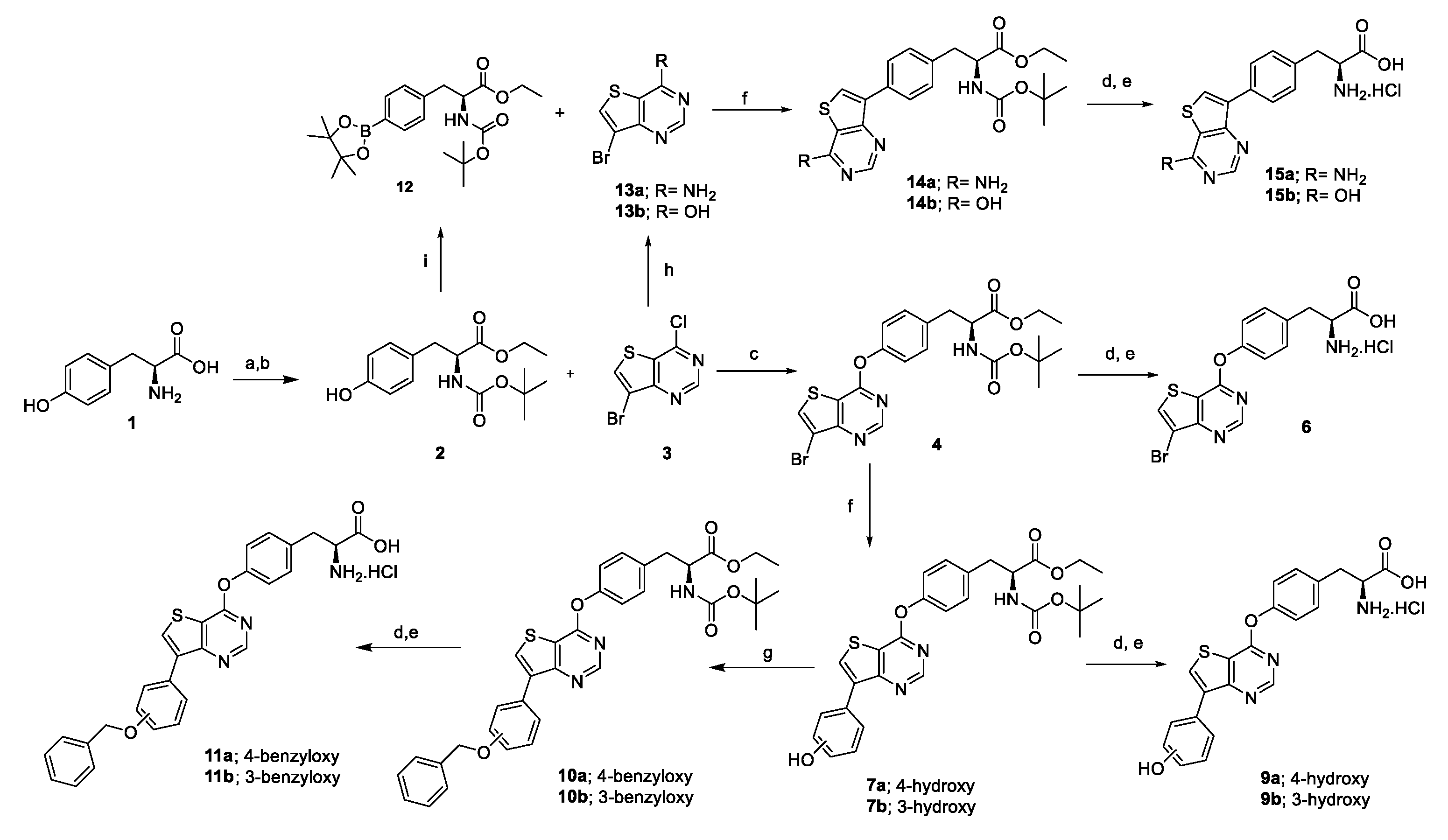 Molecules 27 03417 sch001 550