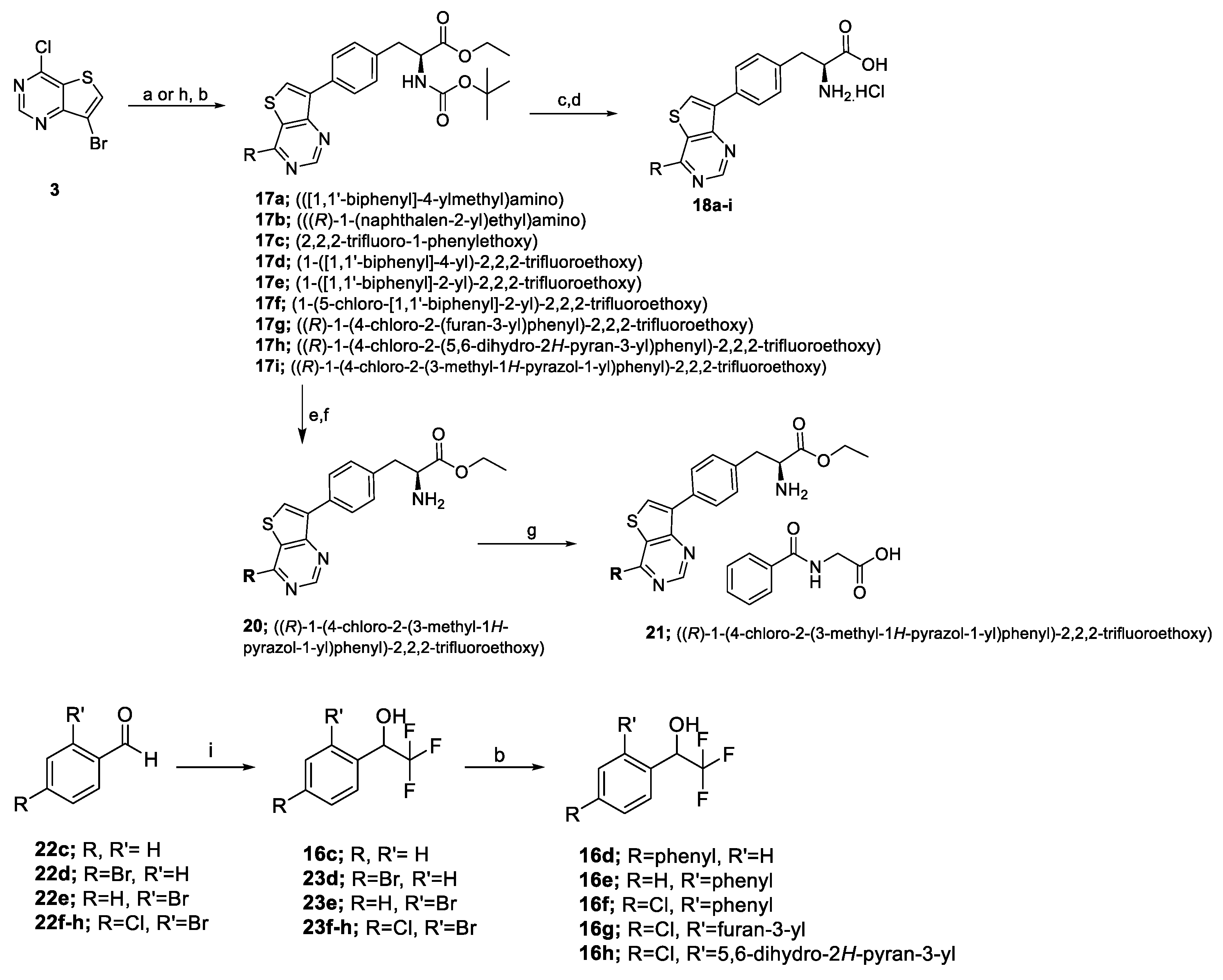 Molecules 27 03417 sch002 550