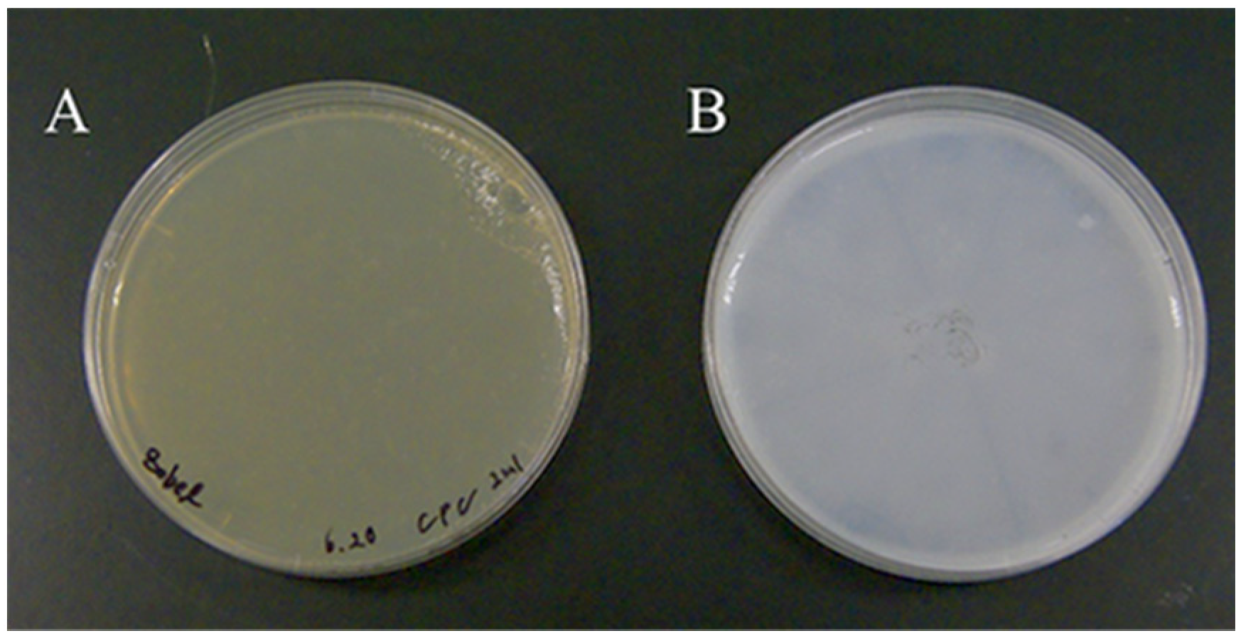 Molecules 27 03420 g001 550