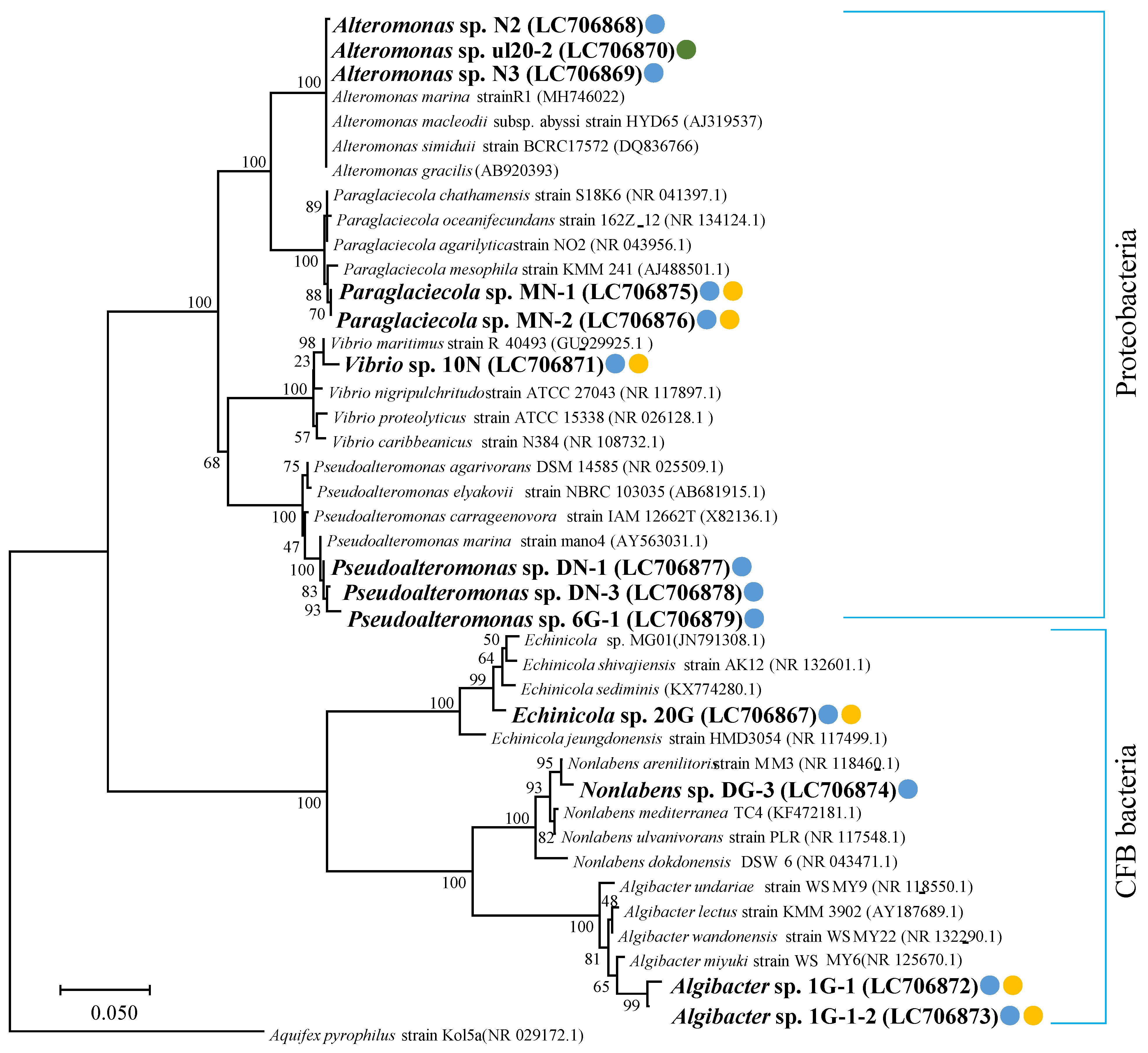 Molecules 27 03420 g002 550