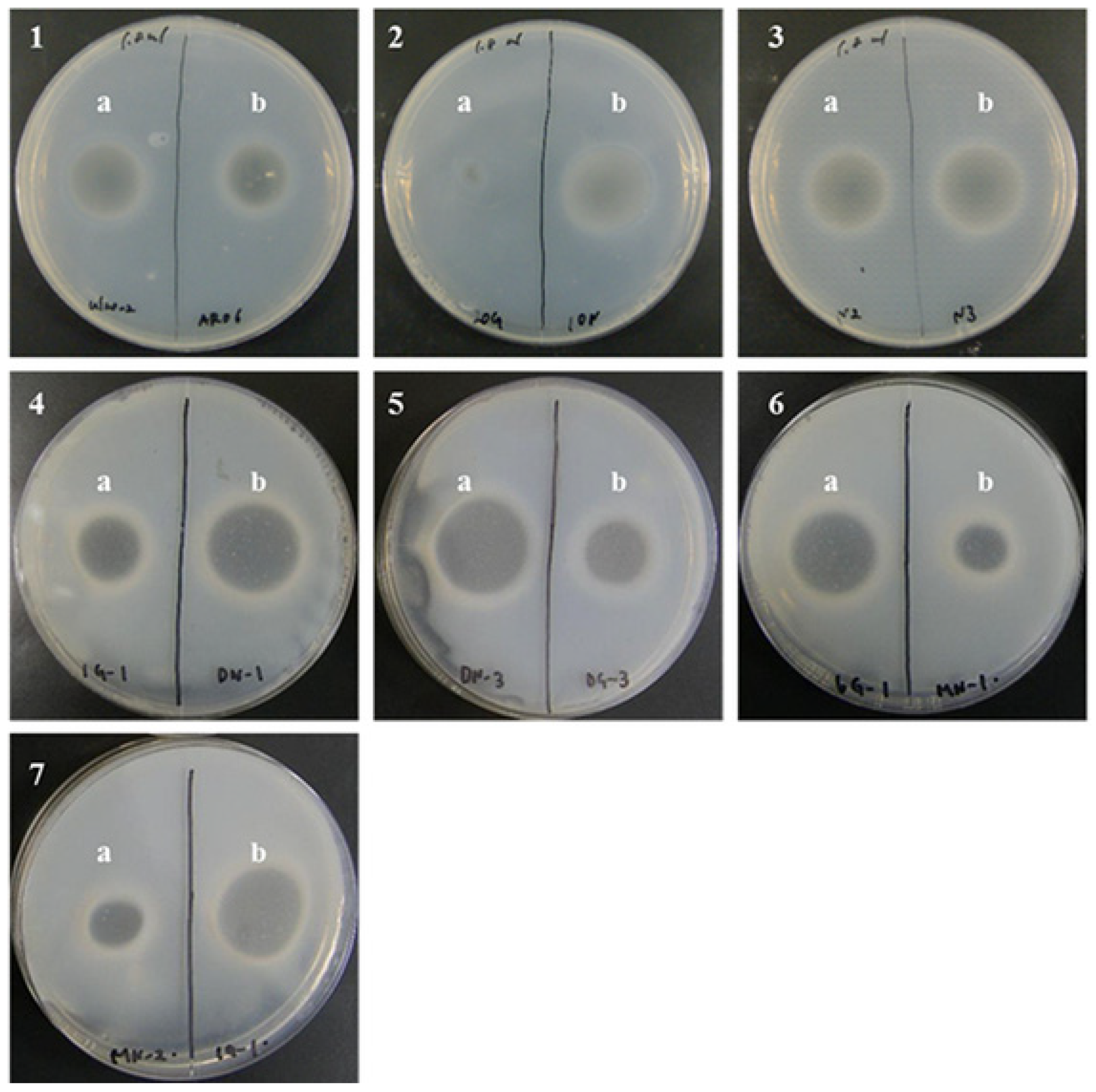 Molecules 27 03420 g003 550